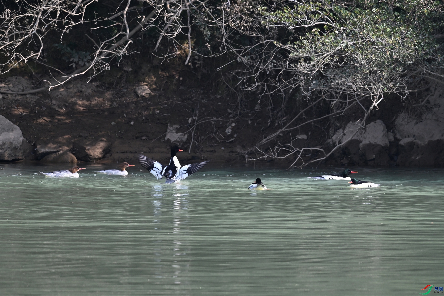 DSC_7031.JPG