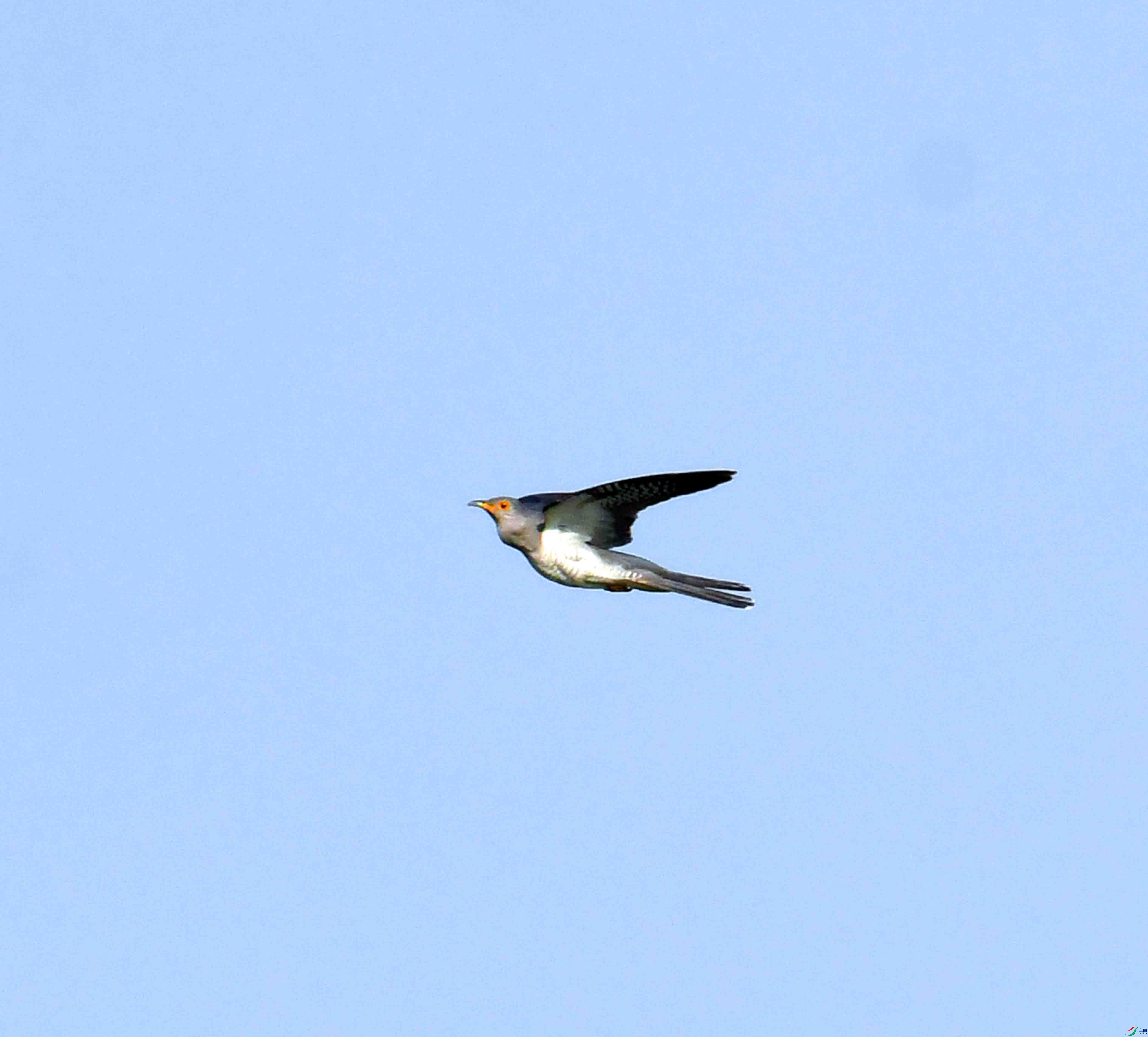 DSC_7390.JPG