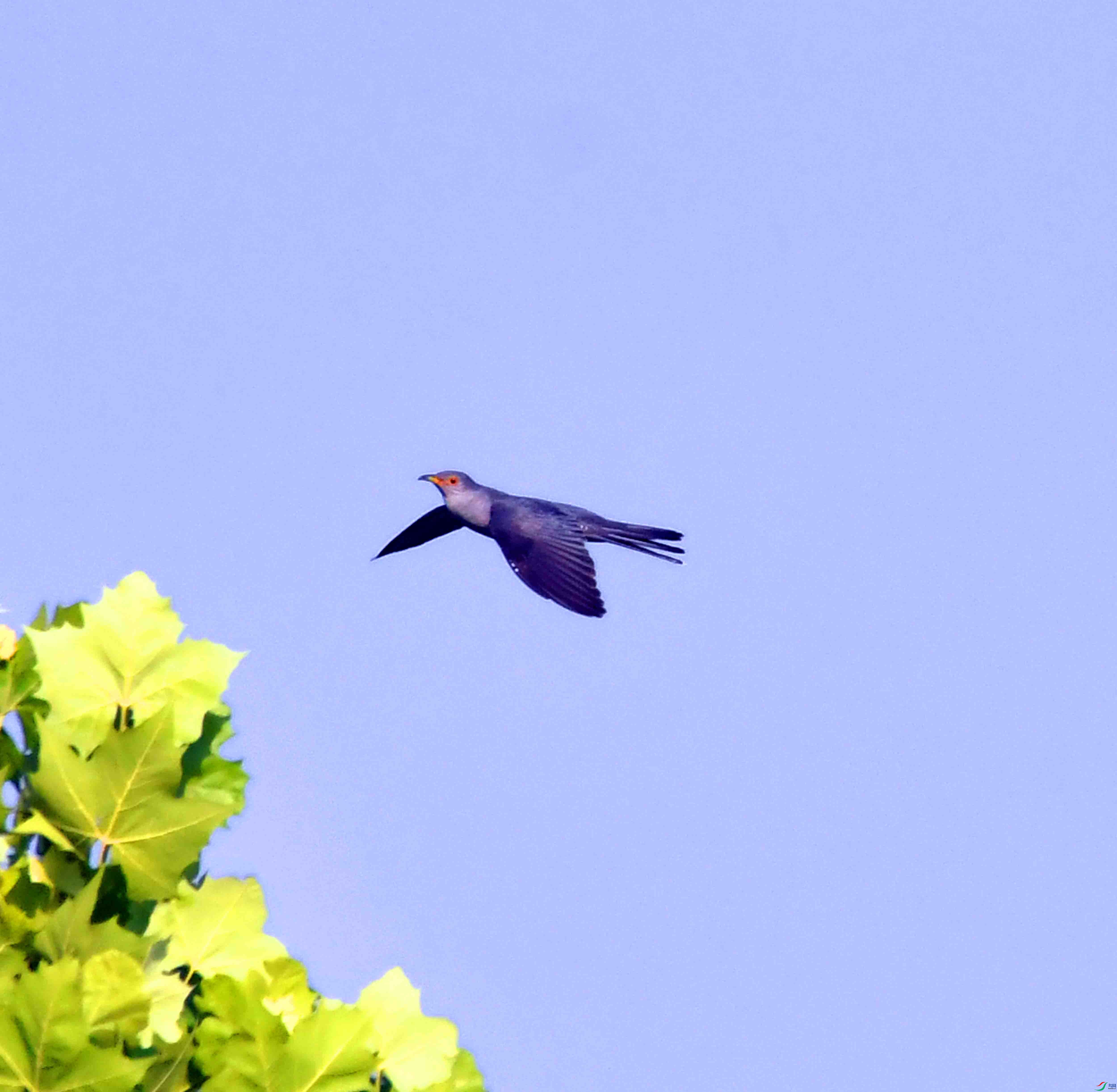 DSC_7391.JPG
