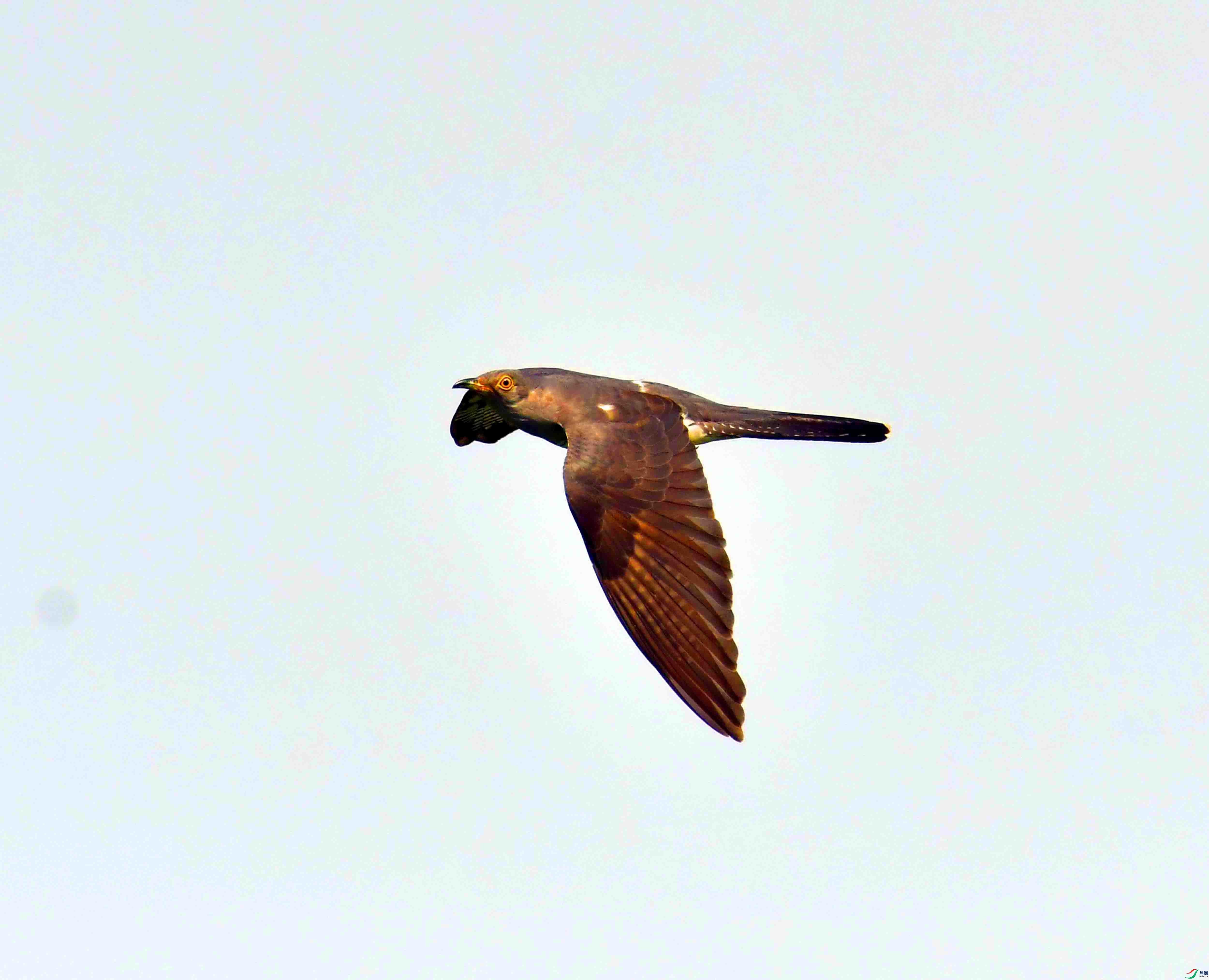 DSC_7421.JPG