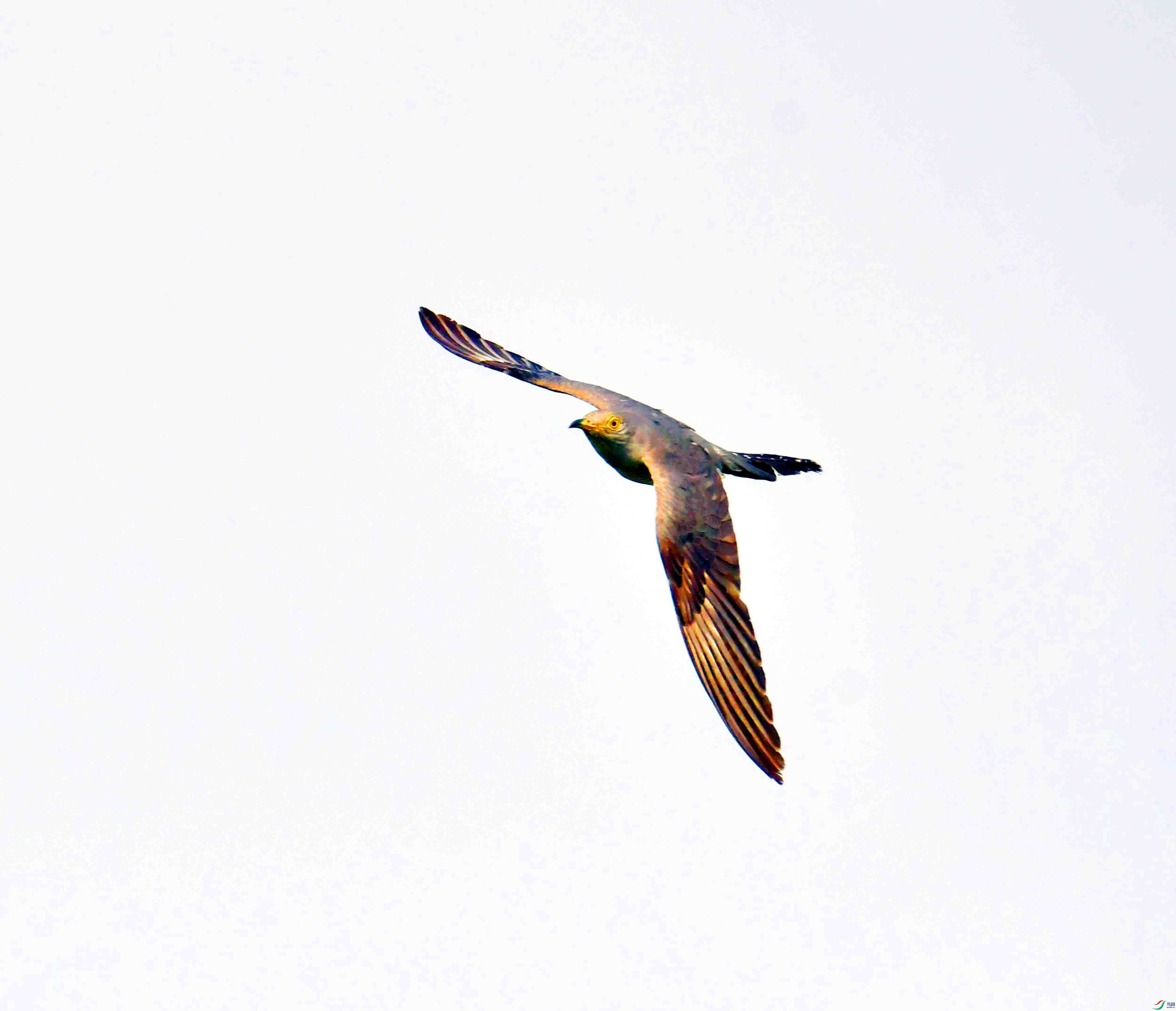 DSC_7423.JPG