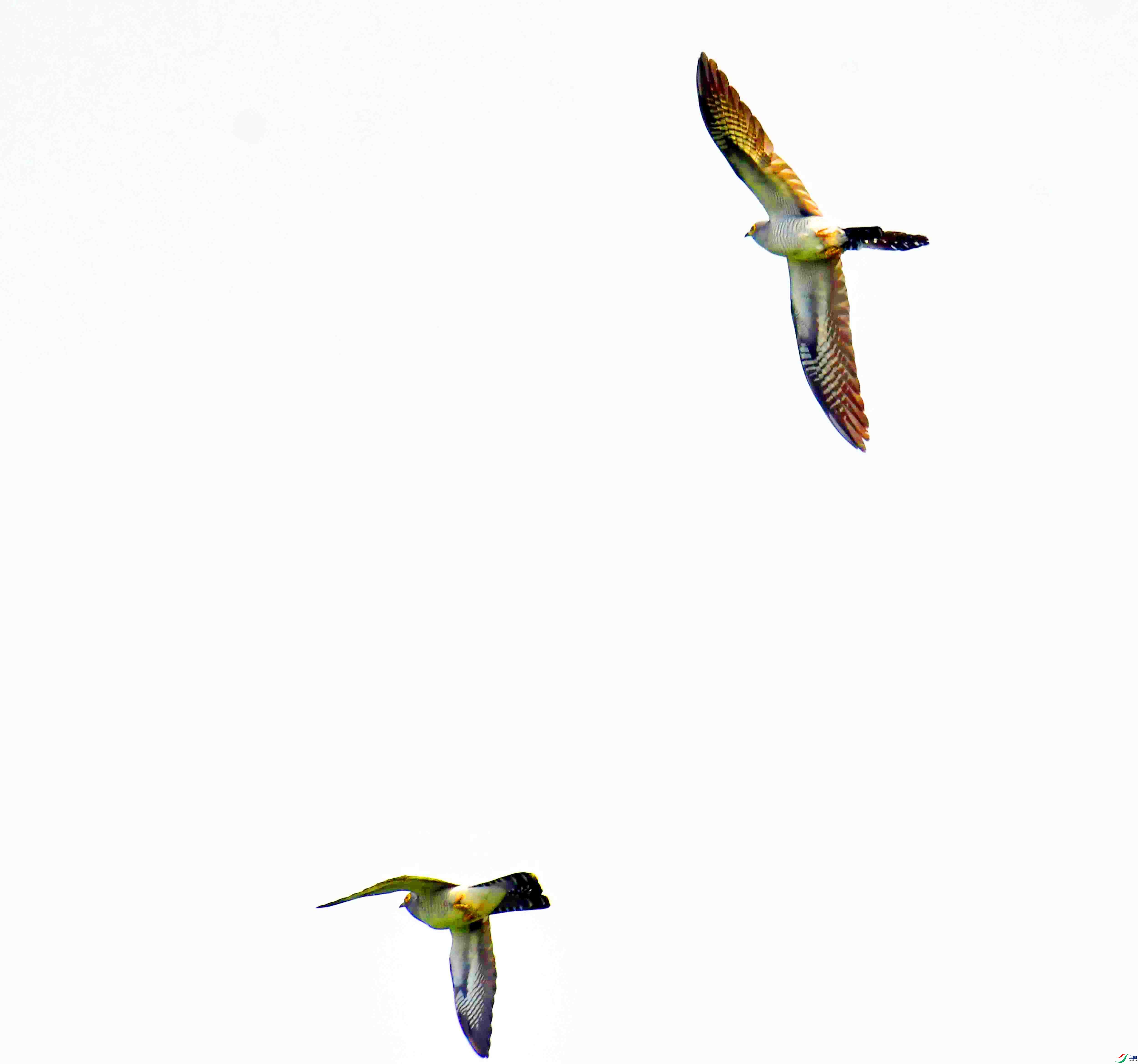 DSC_7429.JPG
