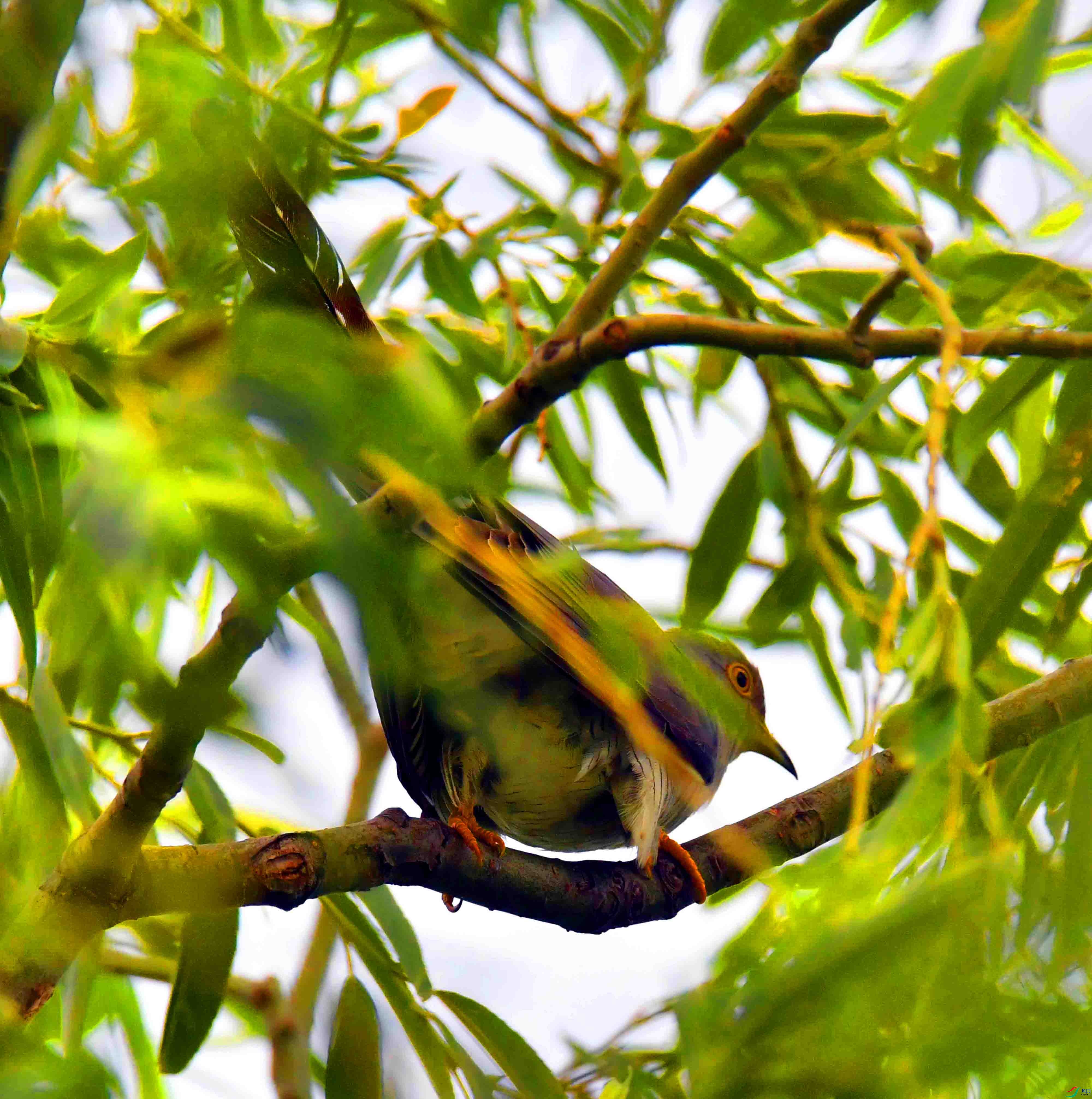 DSC_7605.JPG