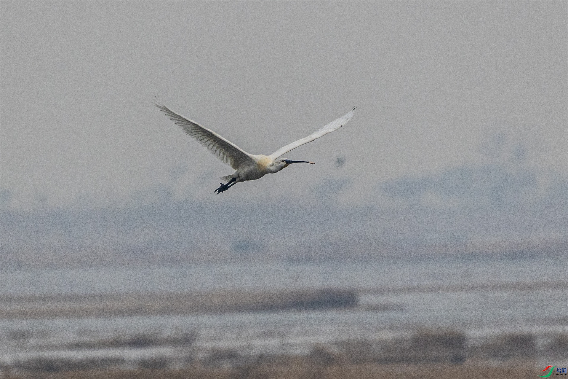 1K3A8205 ����1.jpg