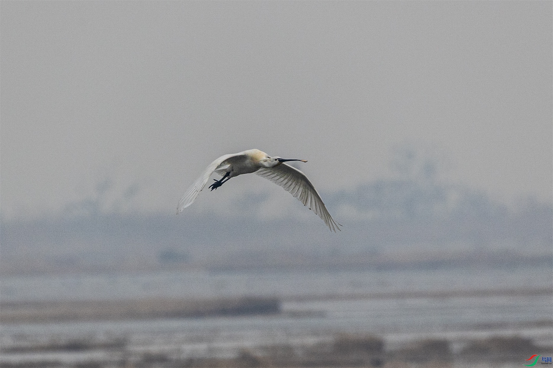 1K3A8207 ����1.jpg