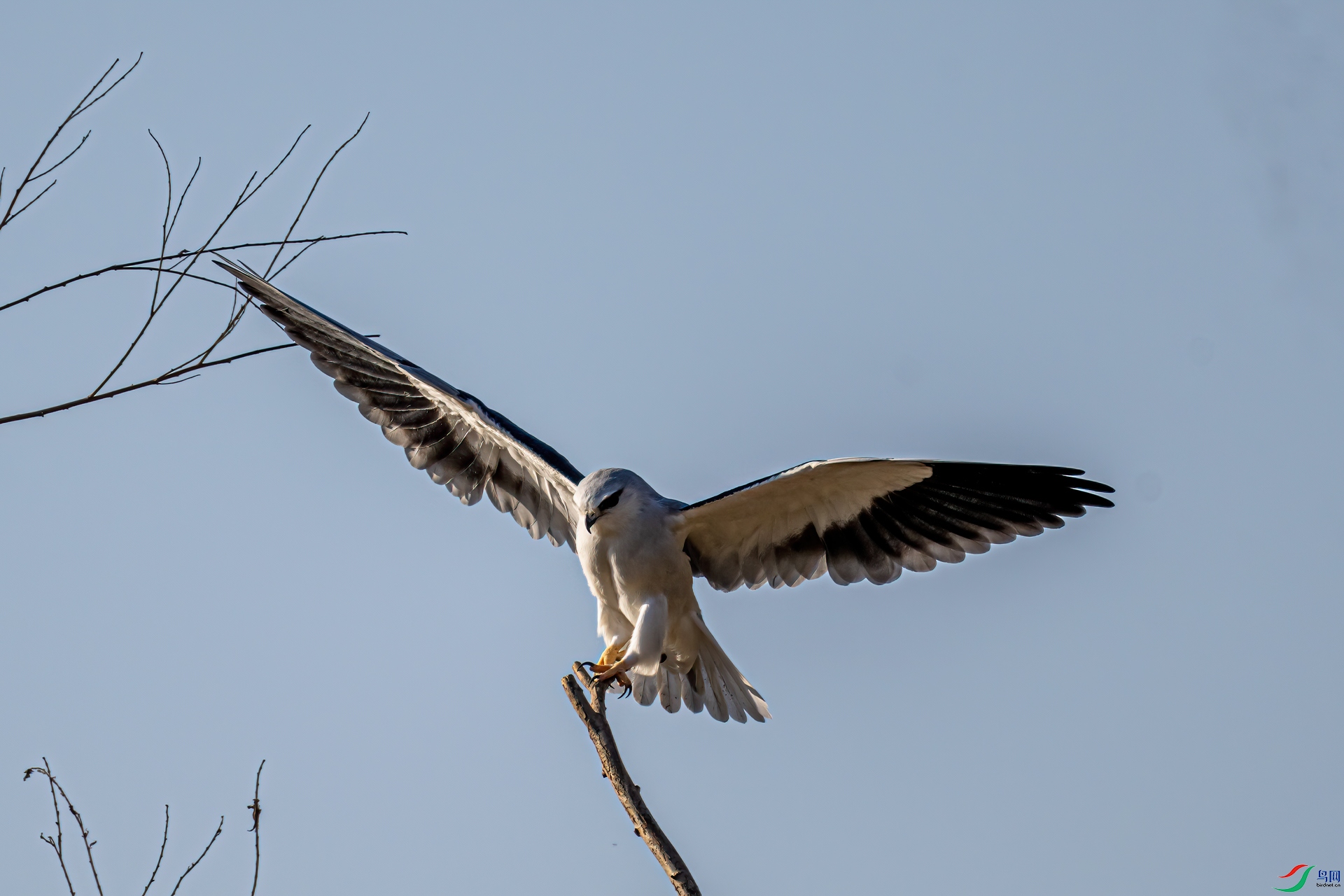 DSC_3104-11.jpg