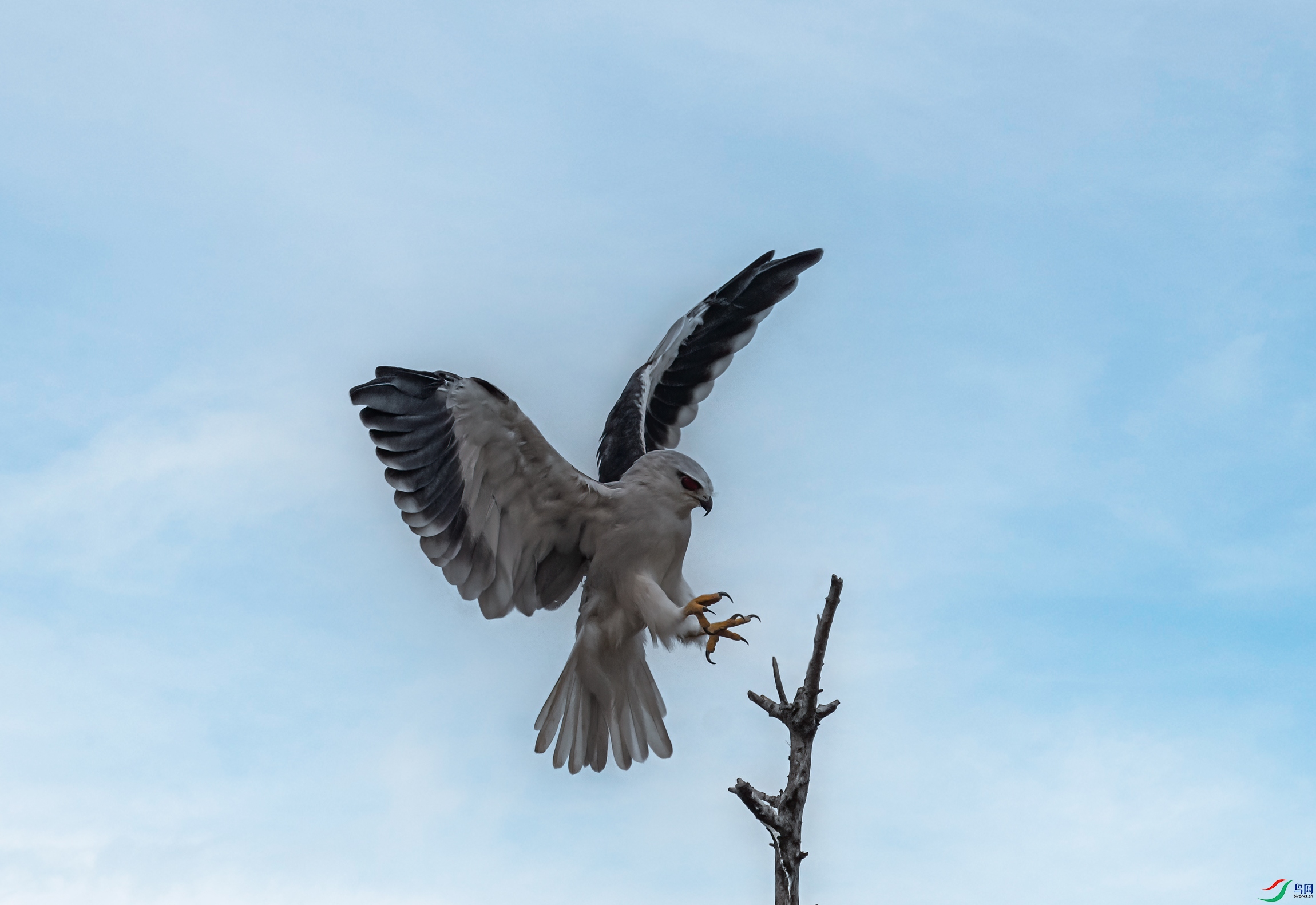DSC_9144-11.jpg