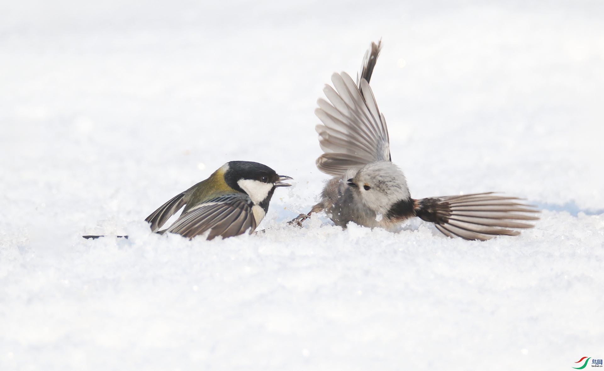 0G1A2799 ����.jpg