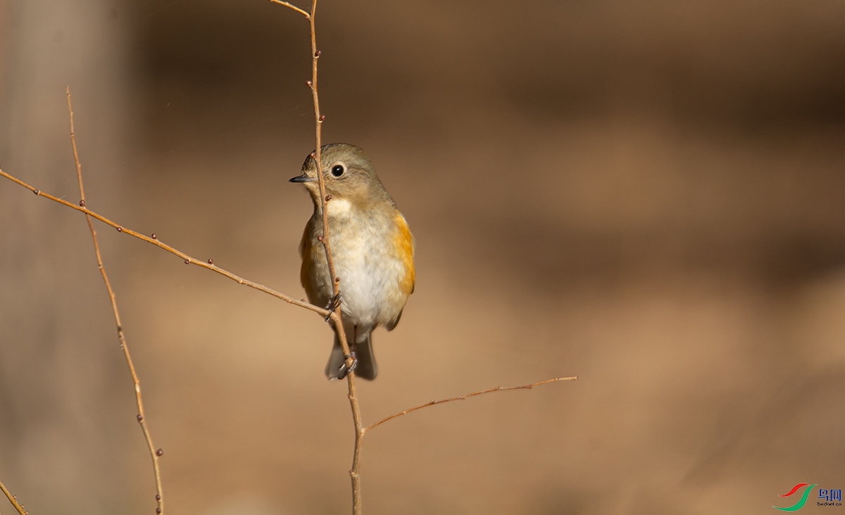 20190414 (20).jpg