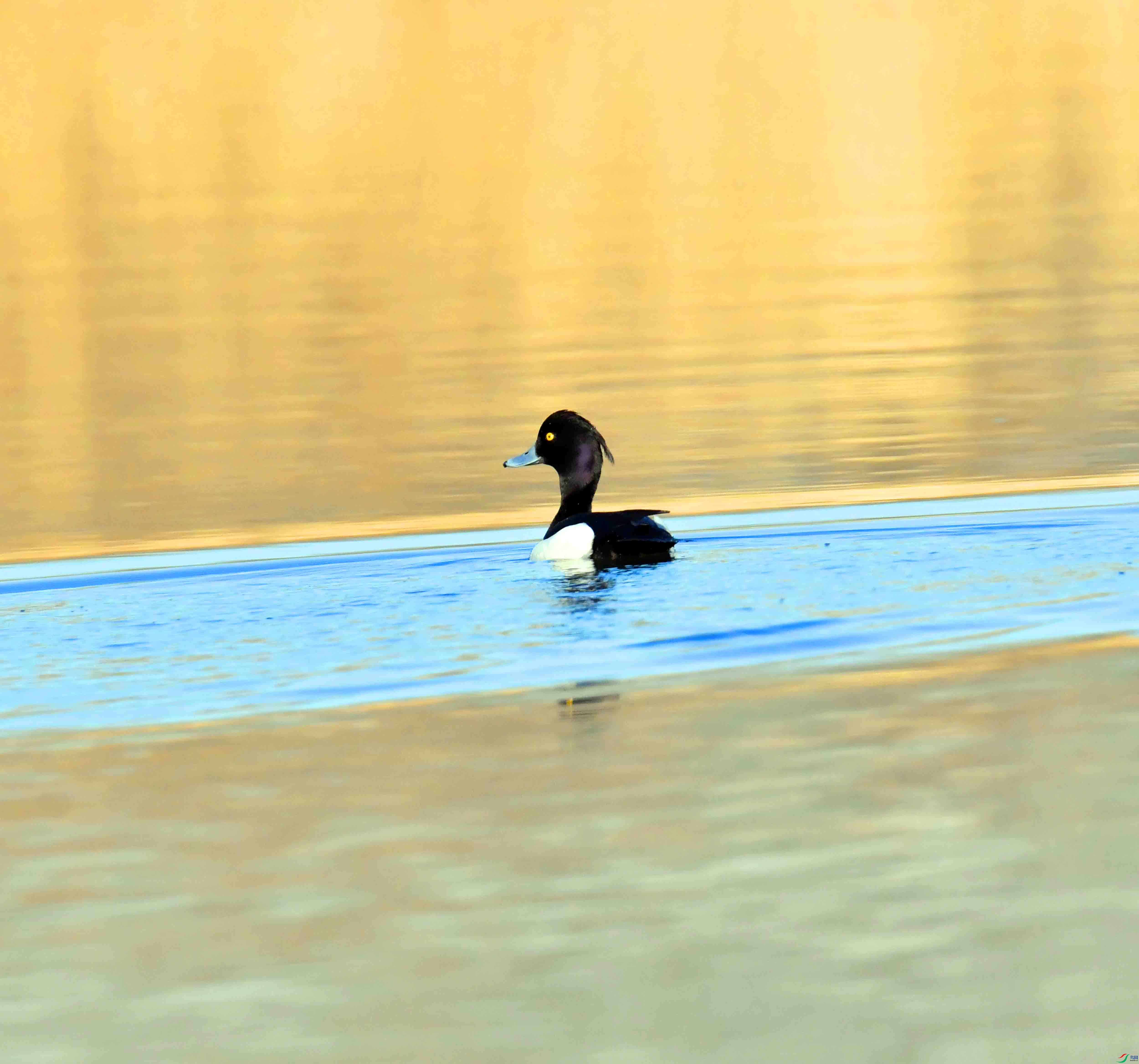 DSC_8305.JPG