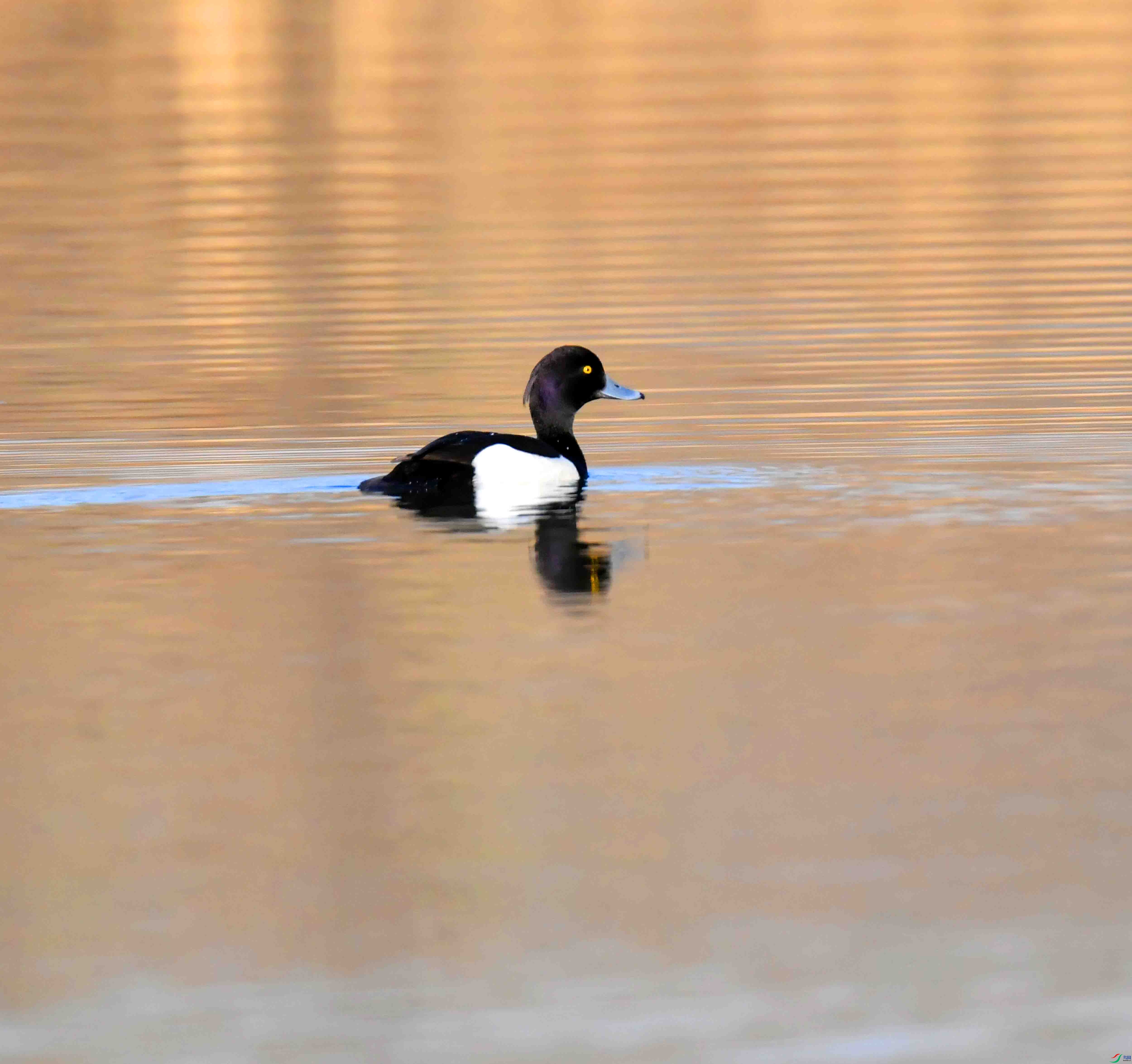 DSC_8322.JPG