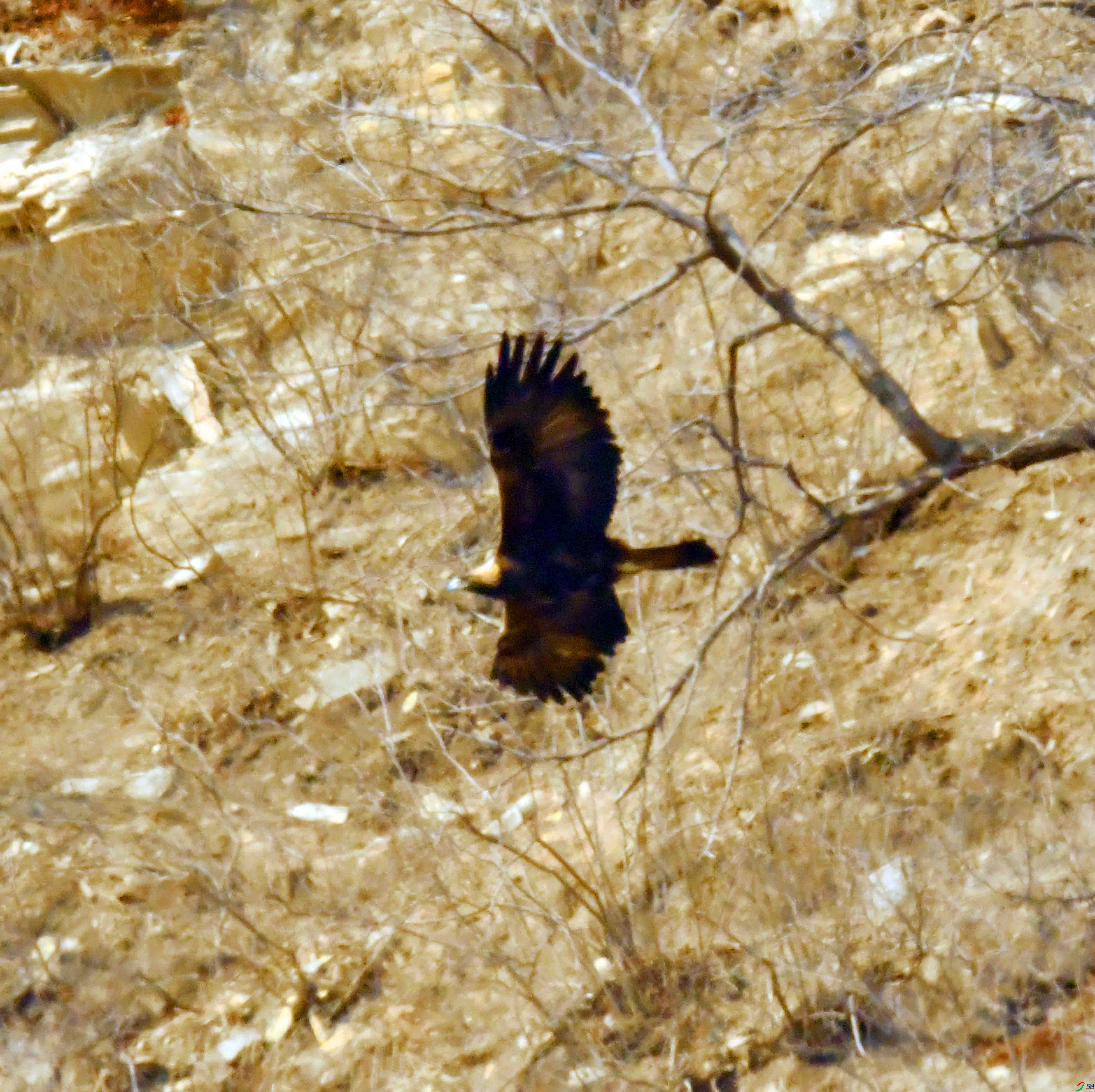 DSC_8537.JPG
