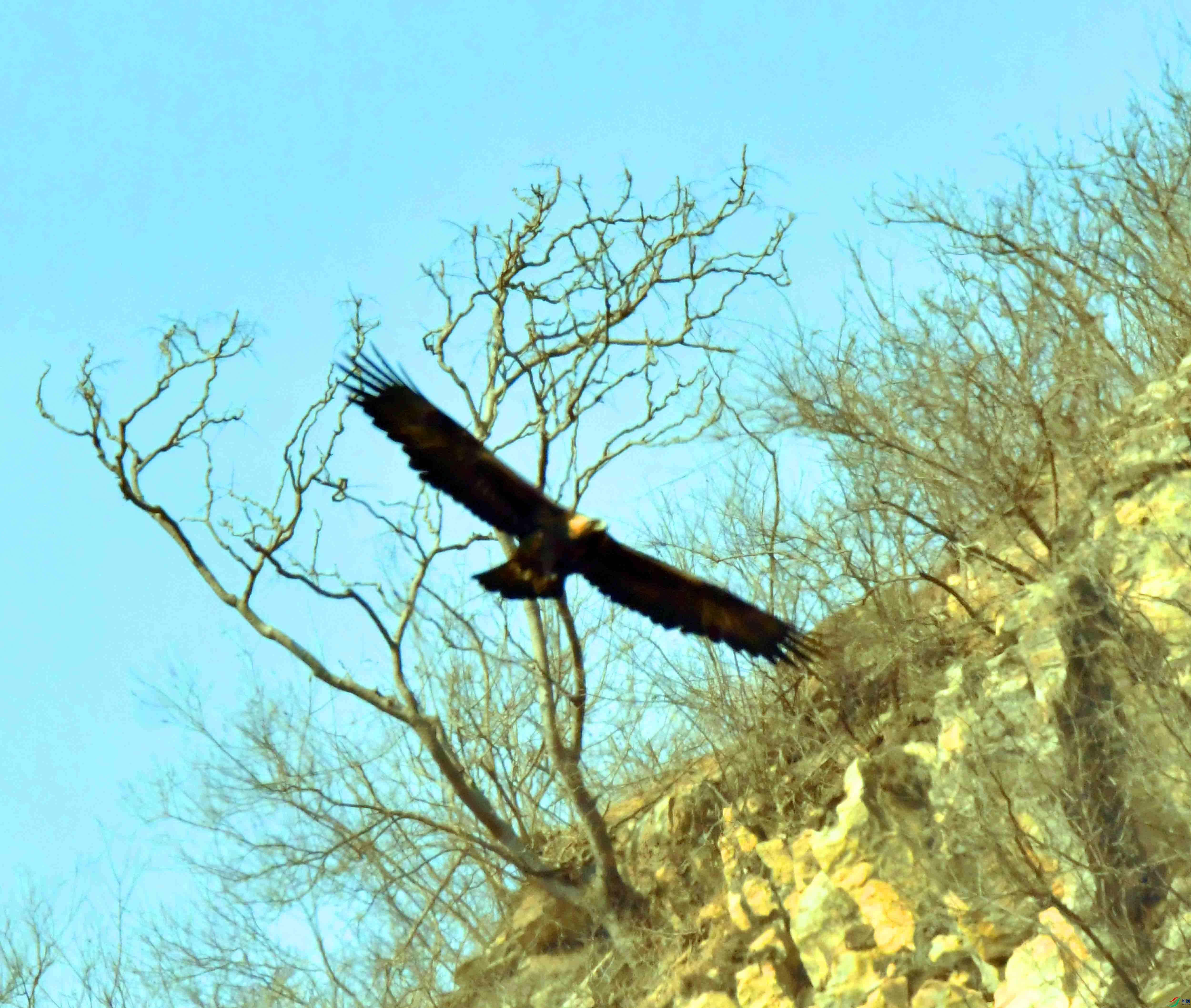 DSC_8552.JPG