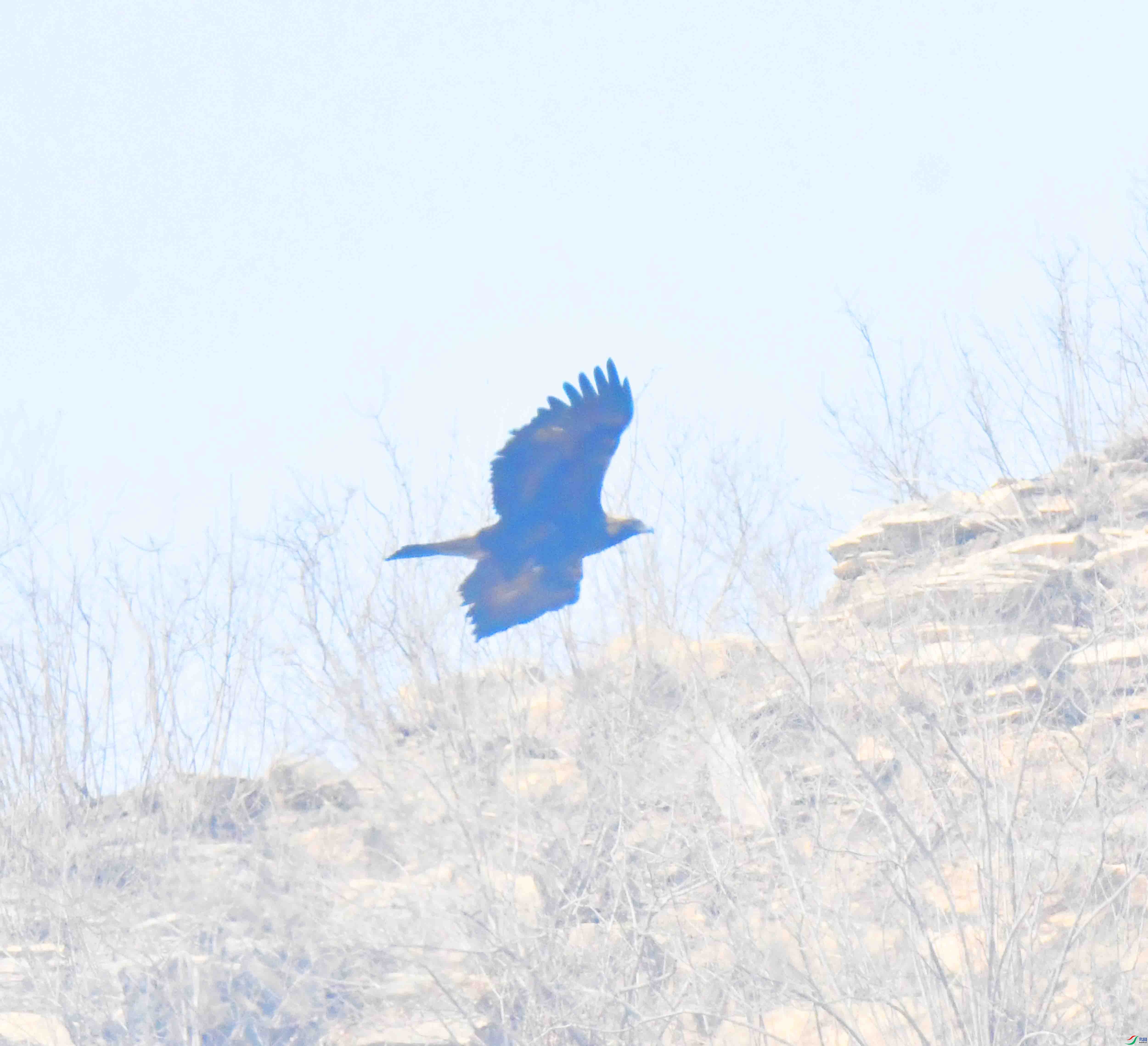 DSC_8565.JPG