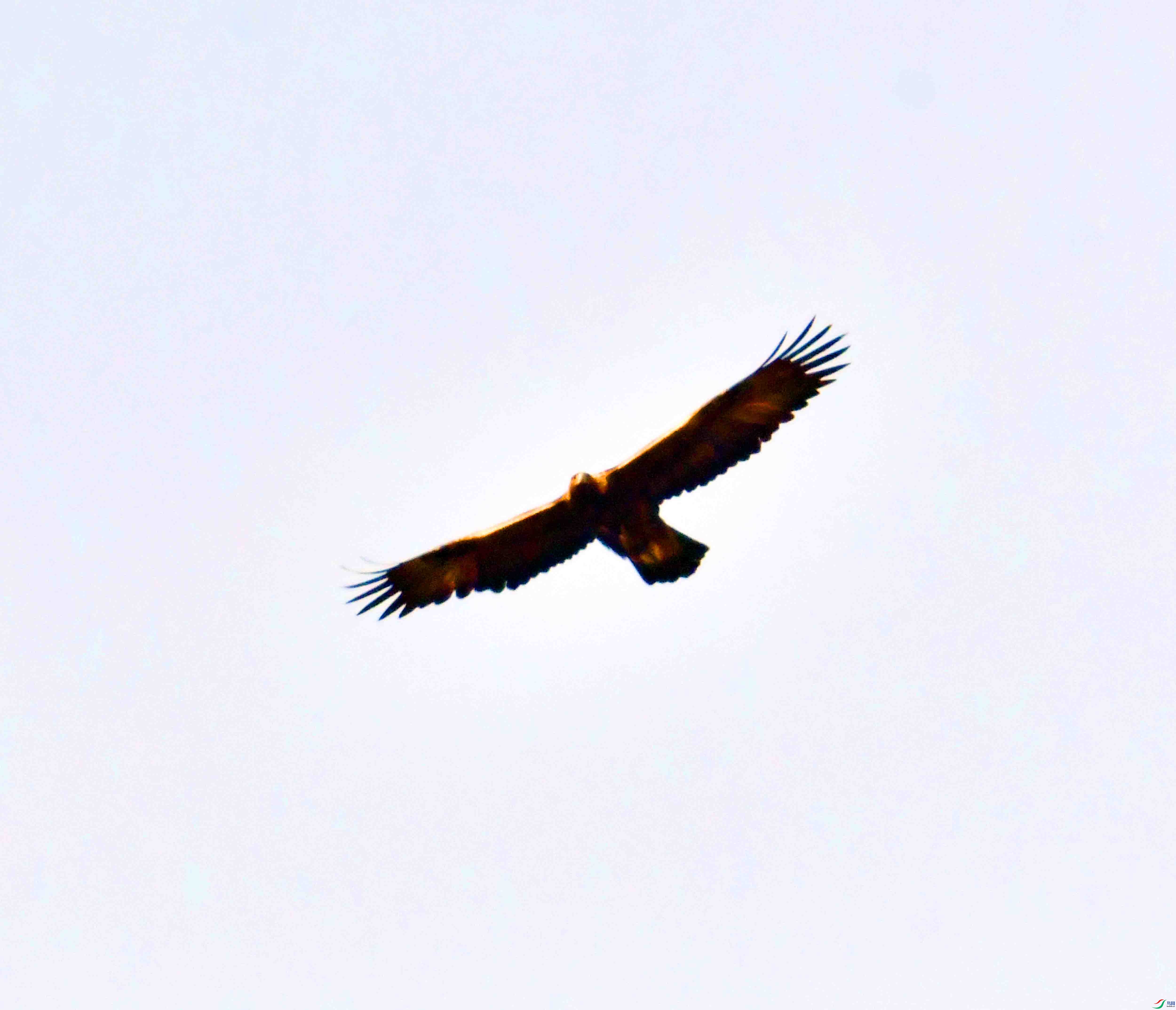 DSC_8589.JPG