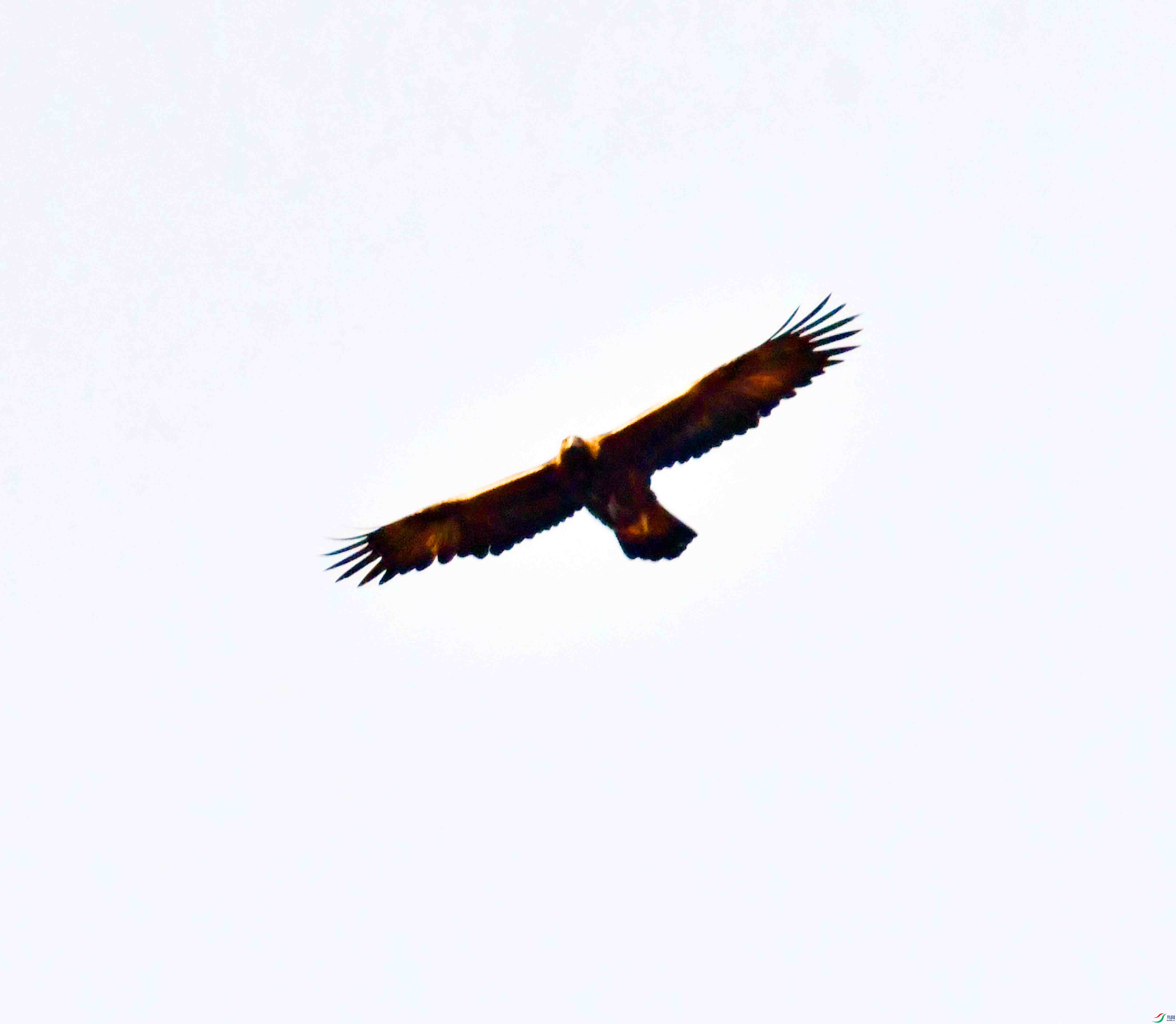 DSC_8588.JPG