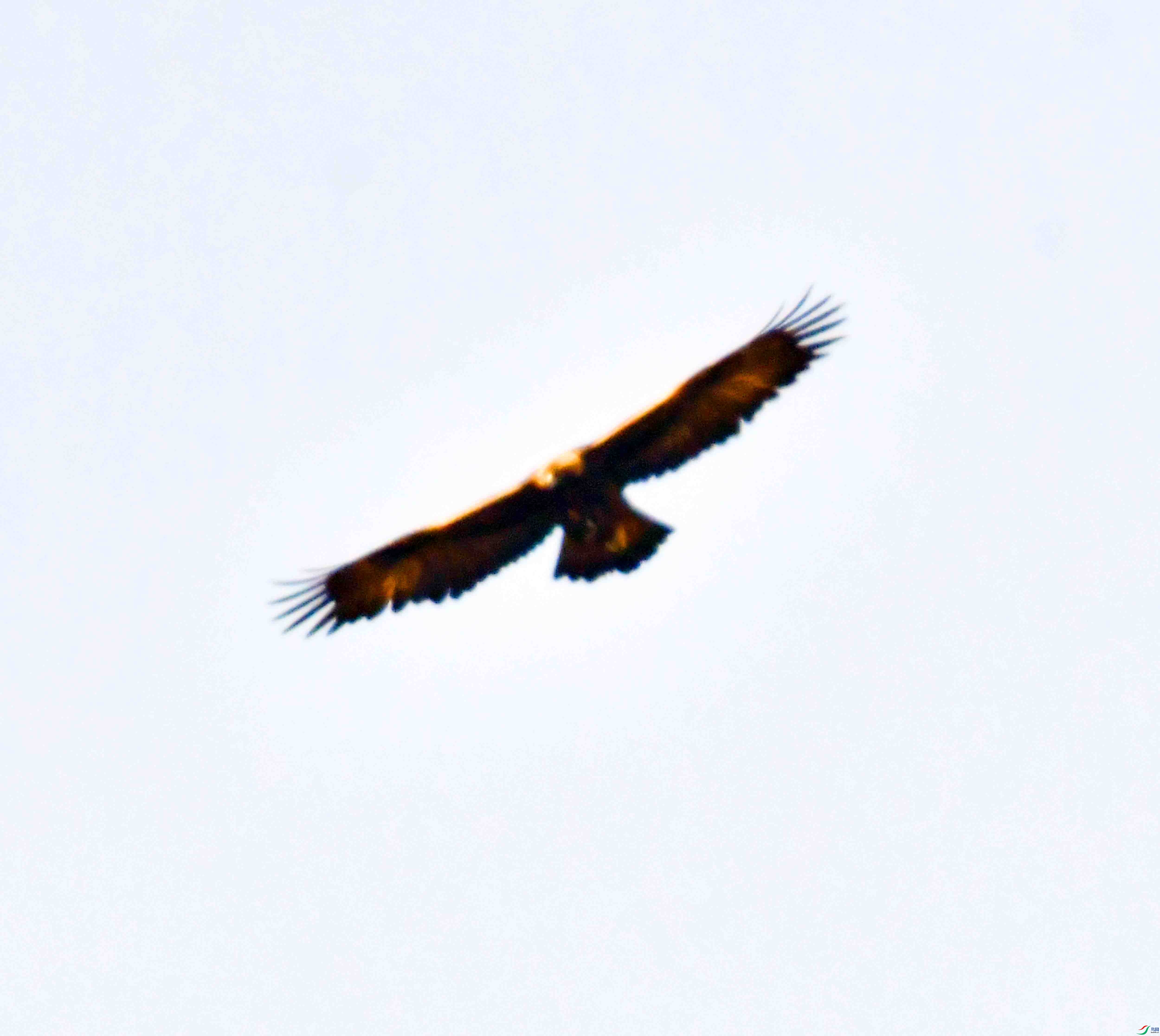DSC_8607.JPG