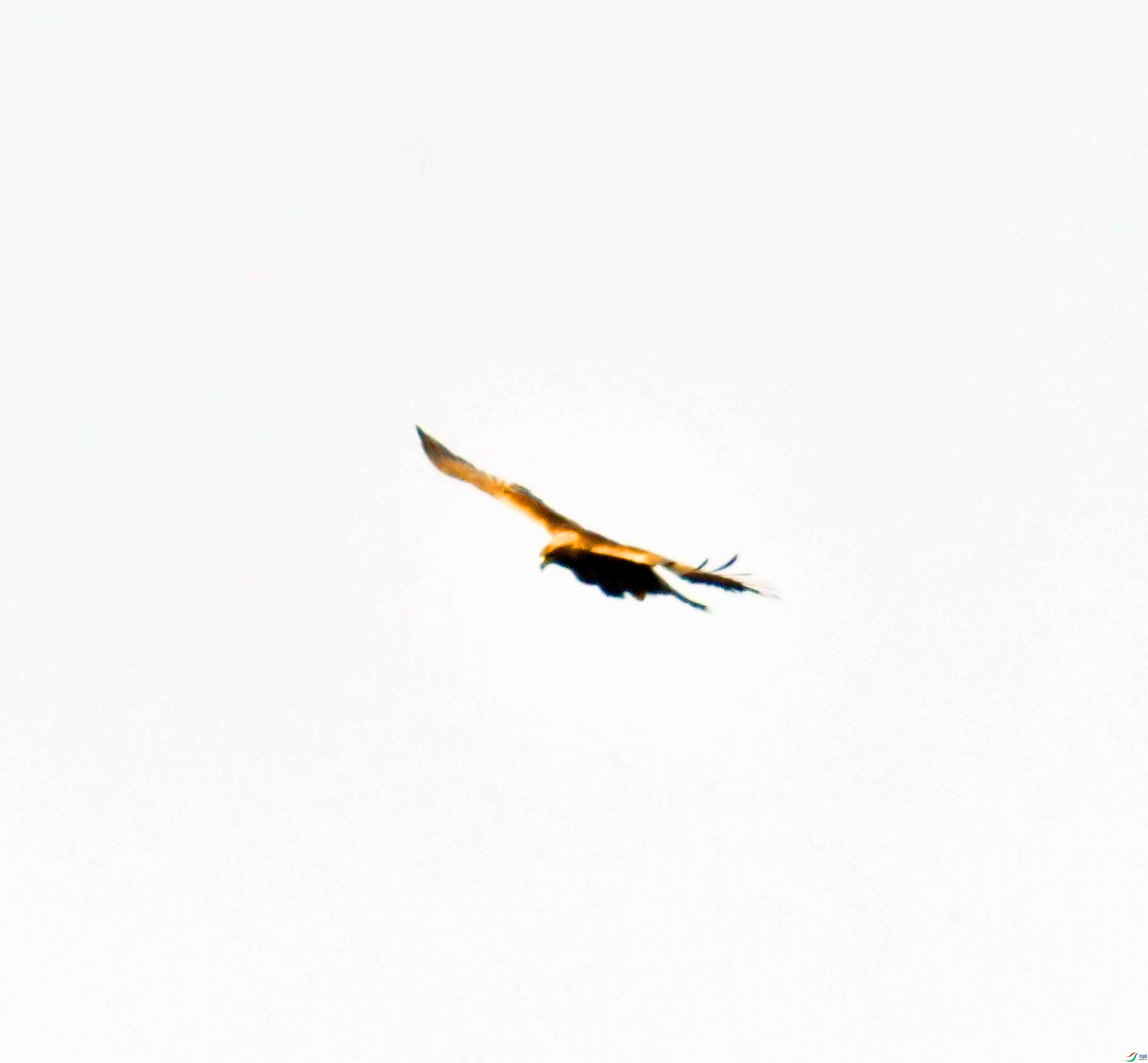 DSC_8641.JPG