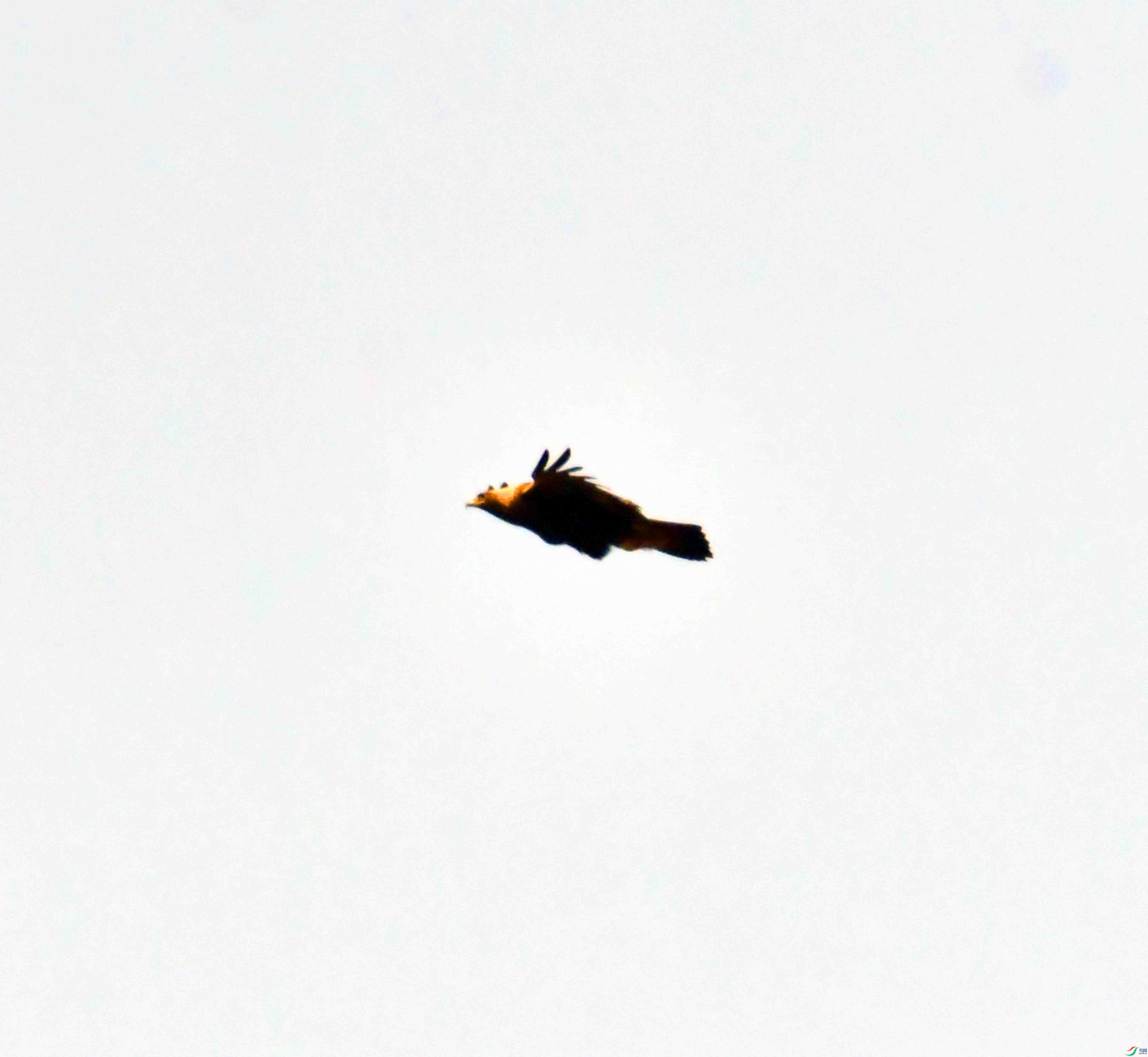 DSC_8640.JPG