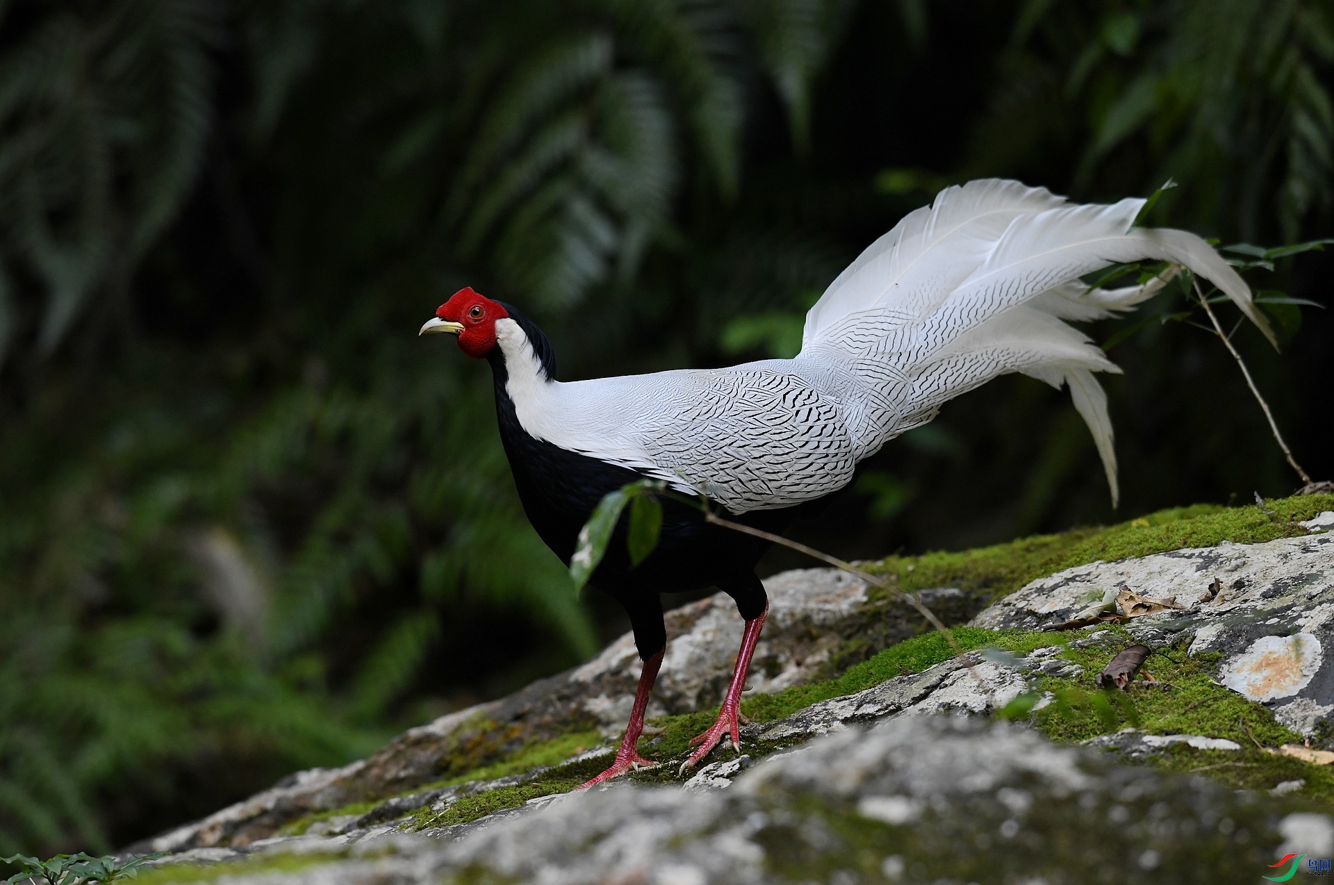 DSC_3169.jpg