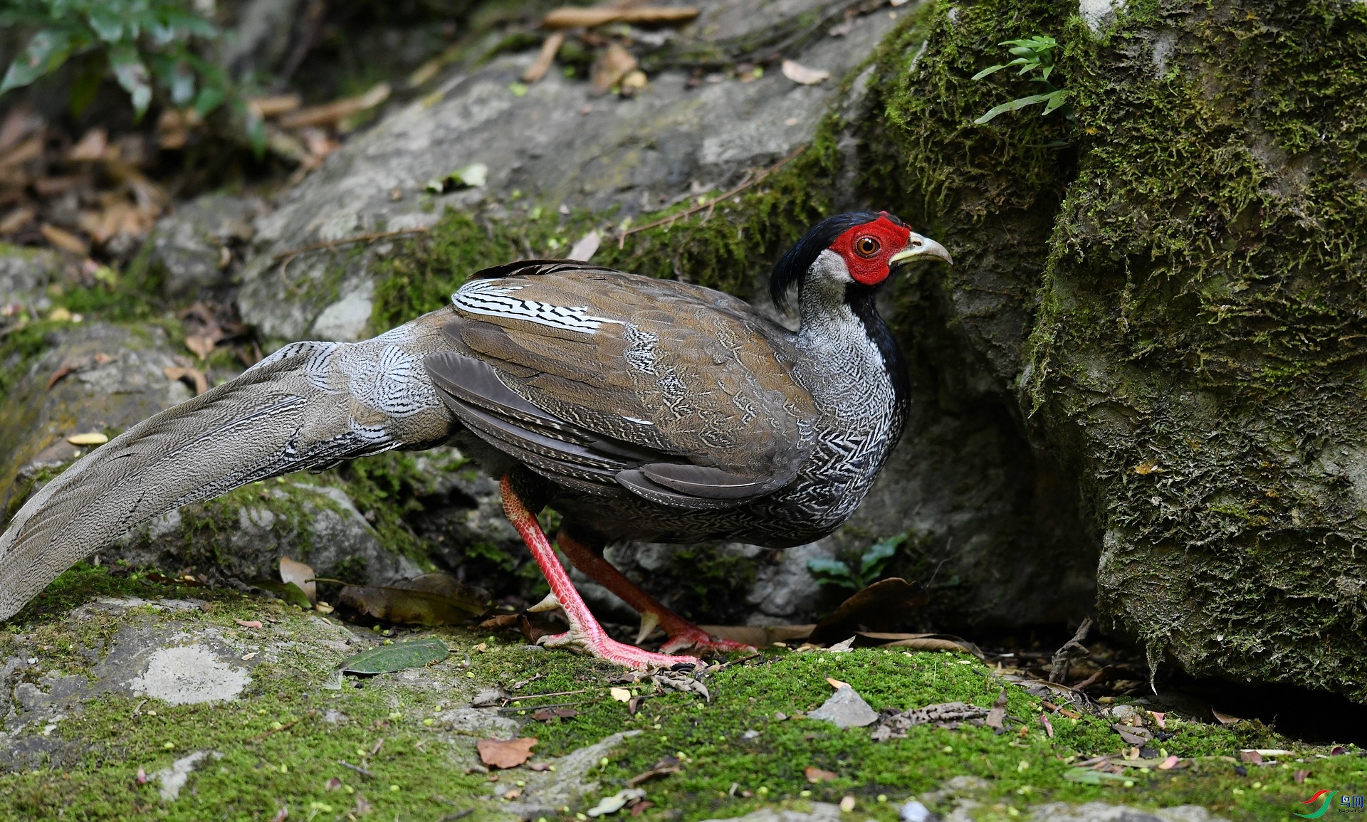 DSC_3116.jpg