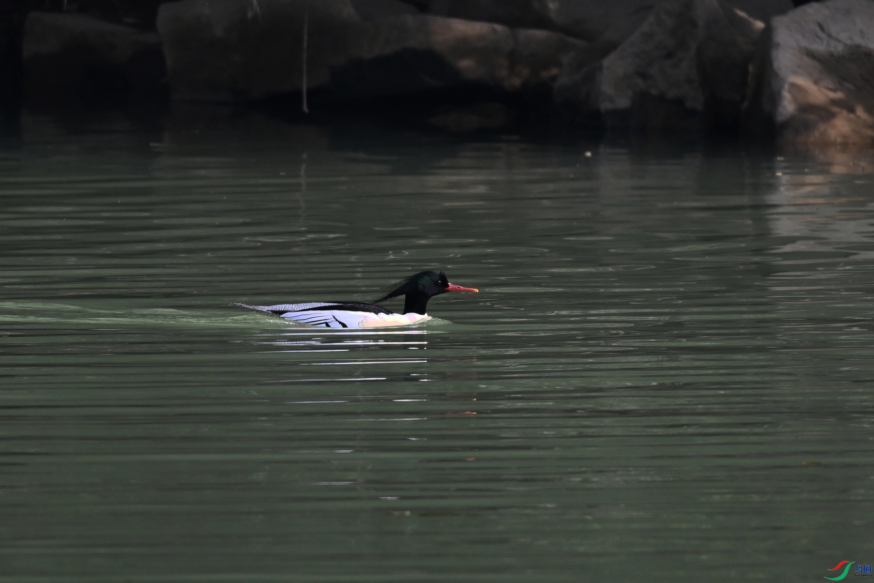 DSC_7052.JPG