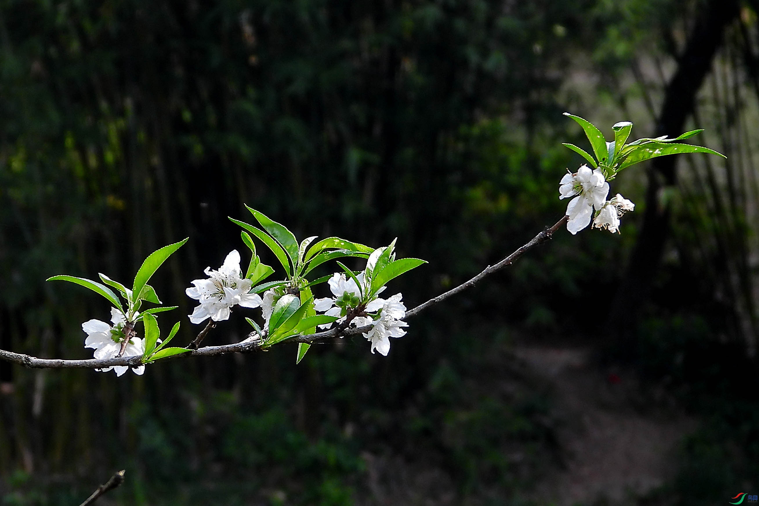 DSCN5496.JPG