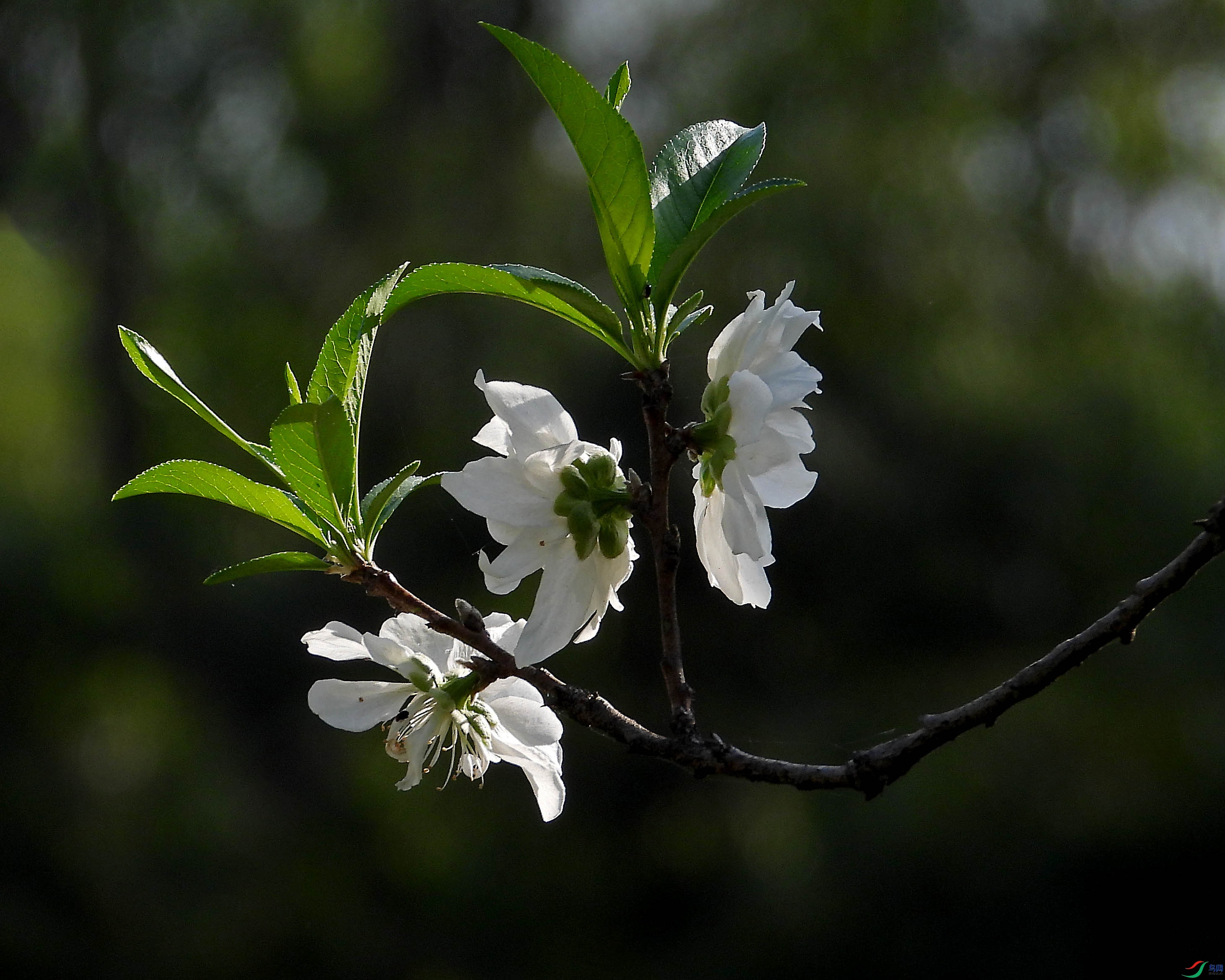 DSCN5503.JPG