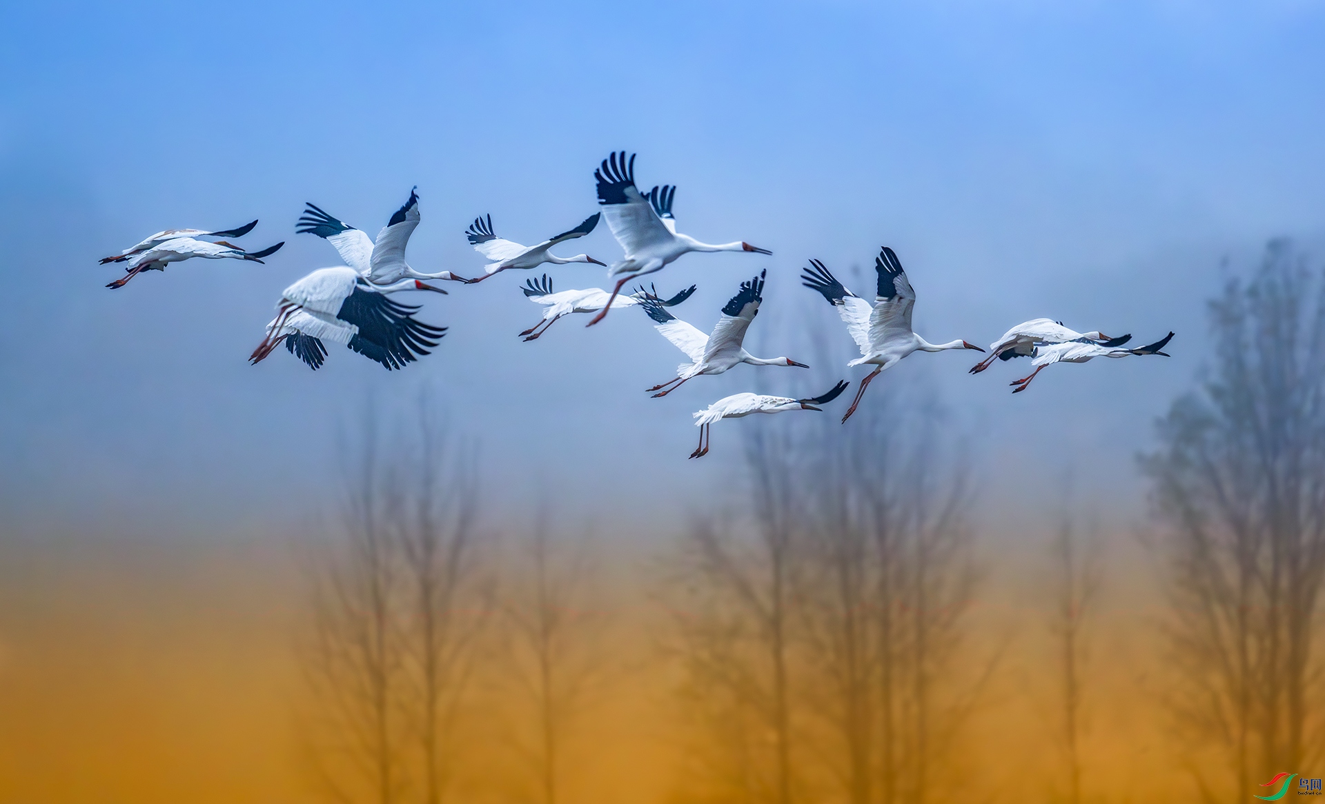 ����DSC_8077.jpg