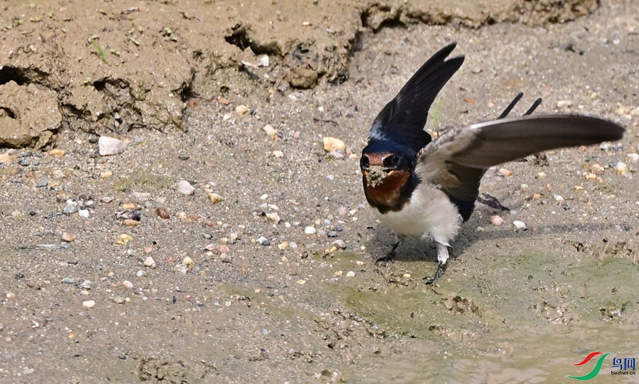 DSC_7506.JPG