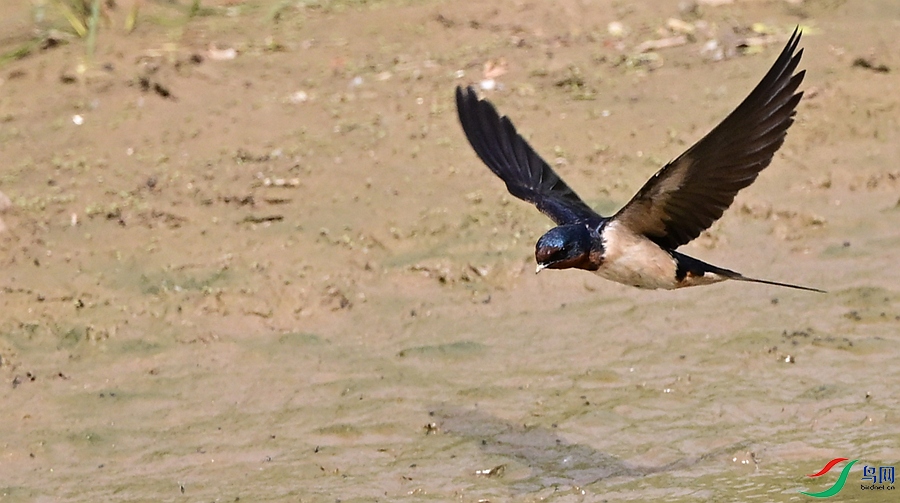 DSC_7542.JPG