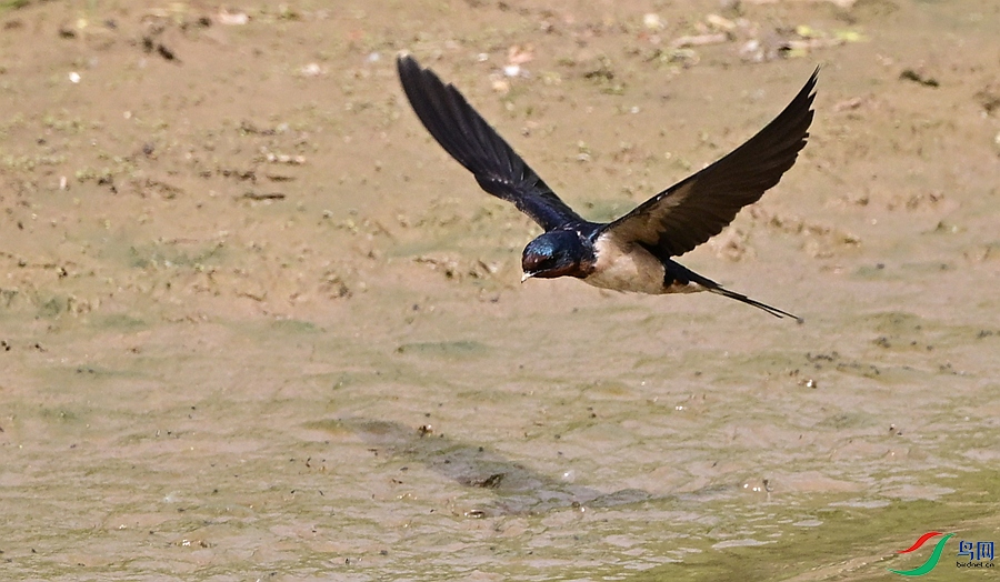 DSC_7543.JPG
