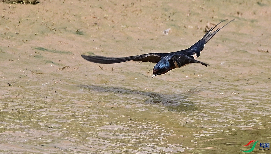 DSC_7556.JPG