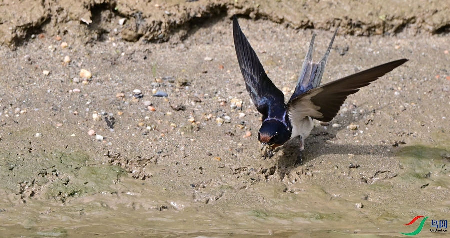 DSC_7763.JPG