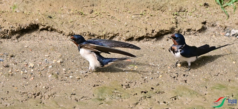 DSC_7938.JPG
