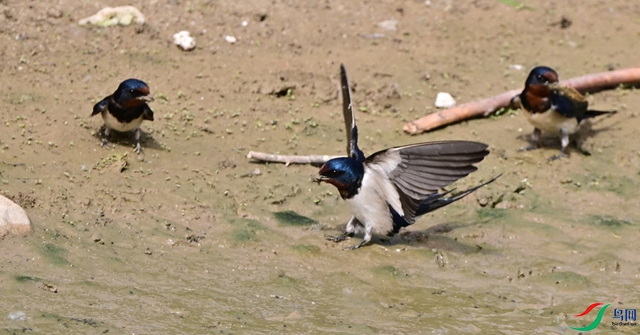 DSC_8024.JPG