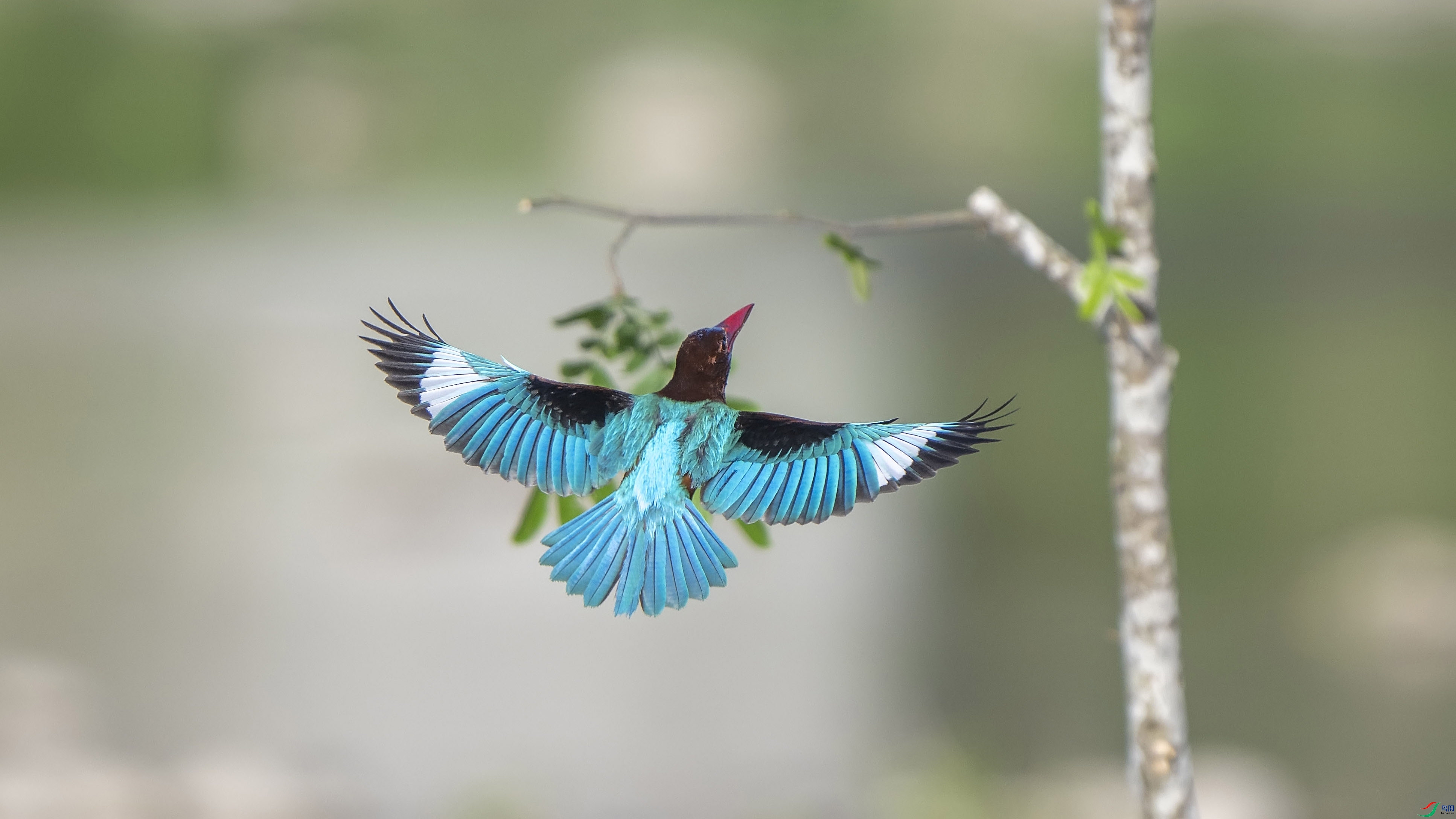 _DSC4774 ���� 3.jpg