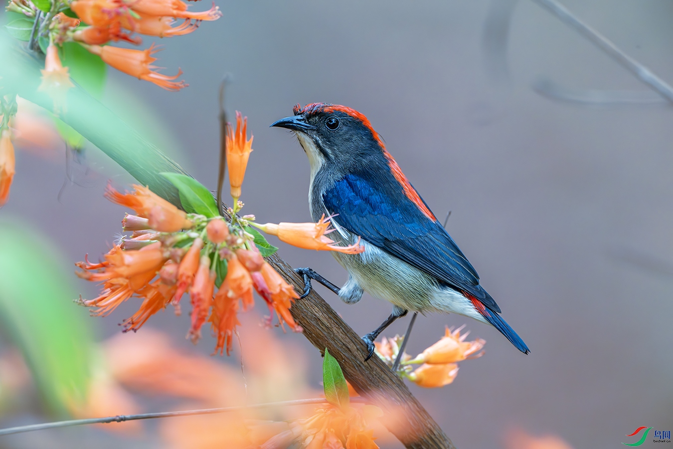 _DSC5754-����ǿ-NR ����__.jpg