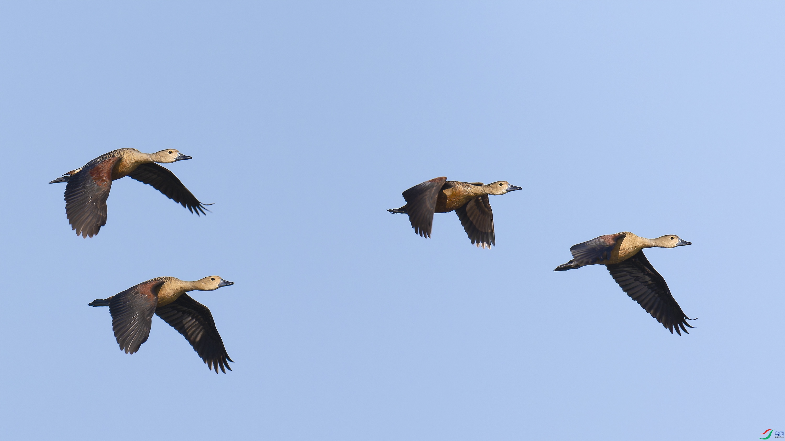 _DSC9908_DxO.jpg