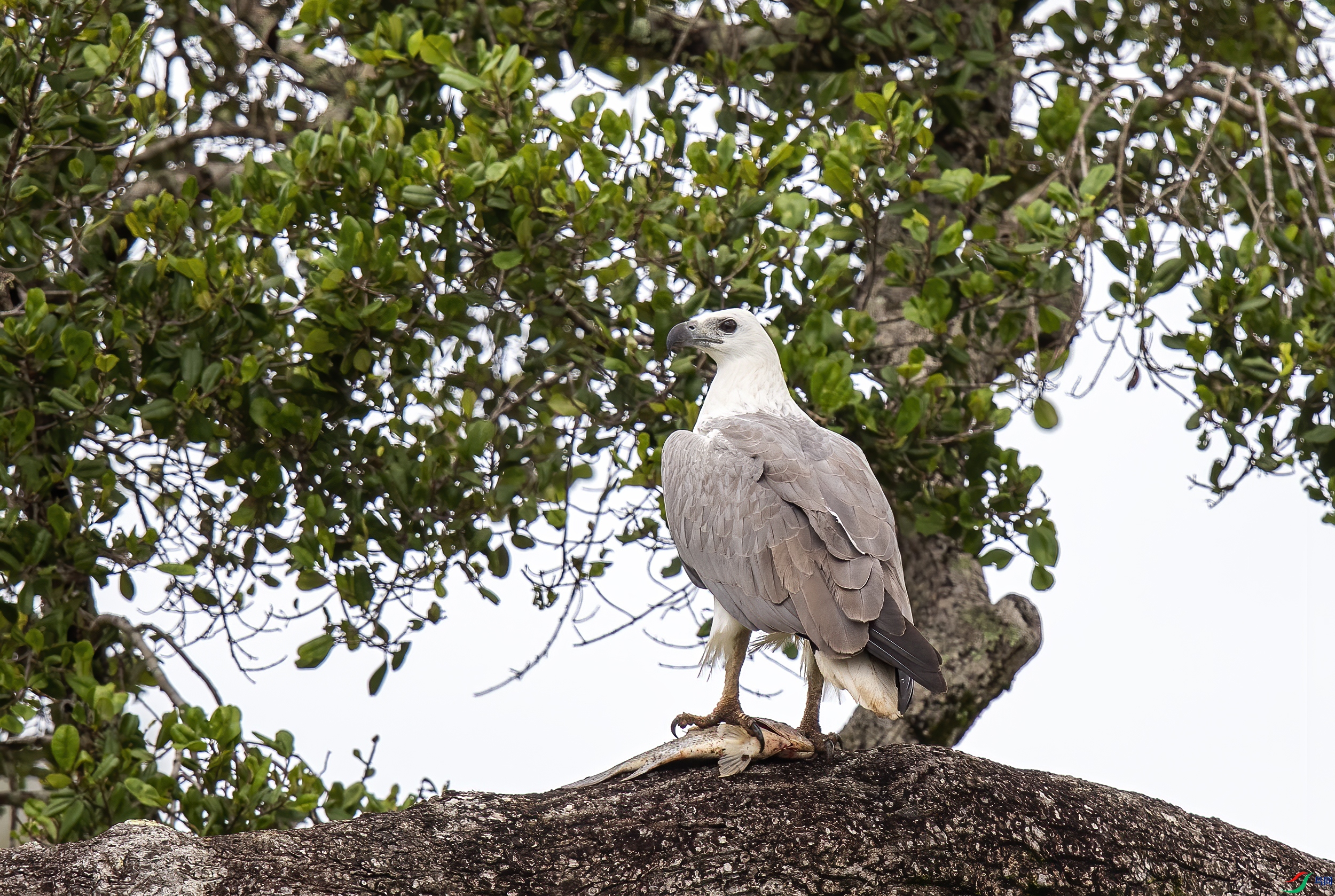 AC3I7302 ����.jpg