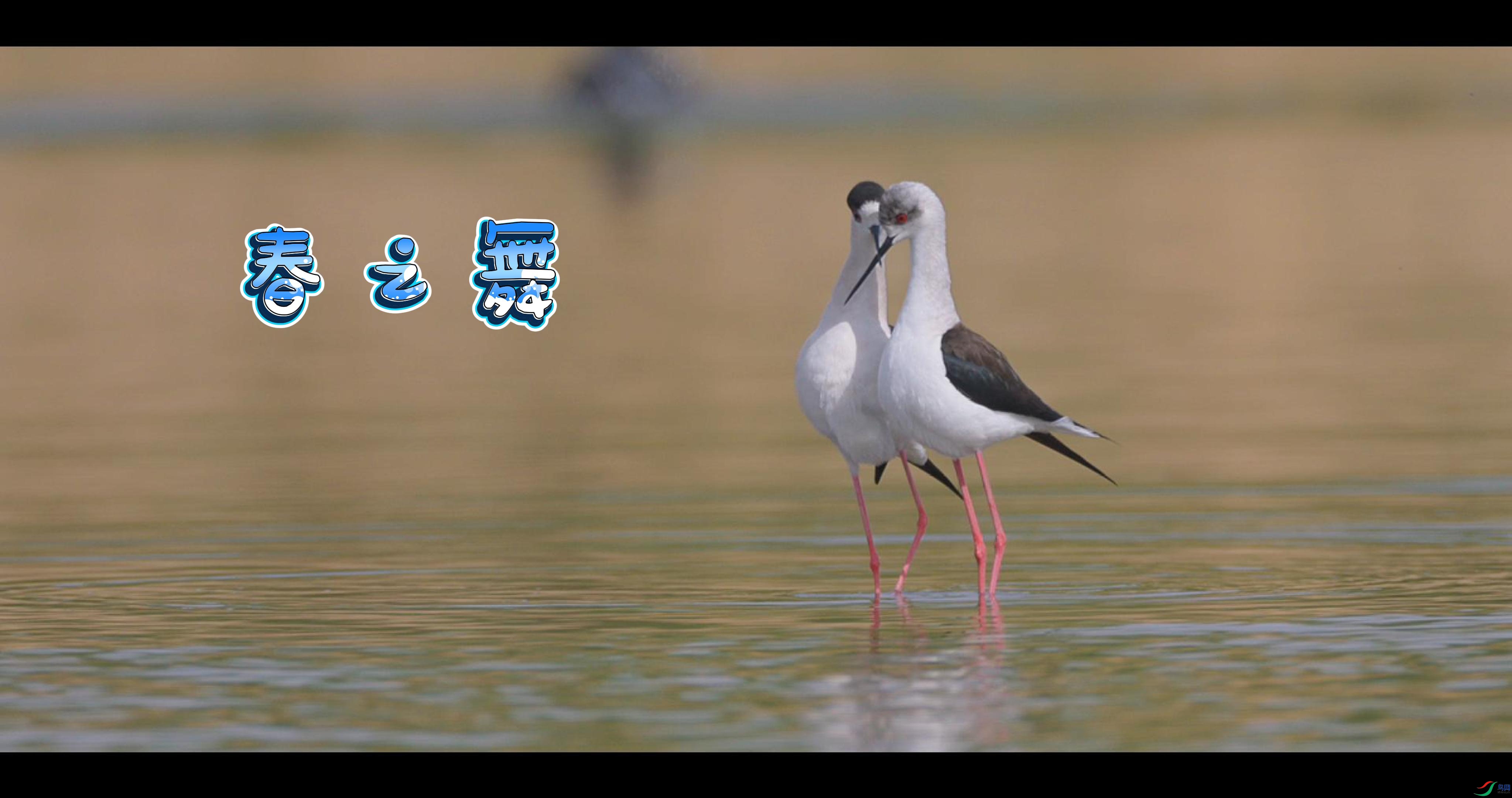 ��֮�� # �ڳ᳤����-����.jpg