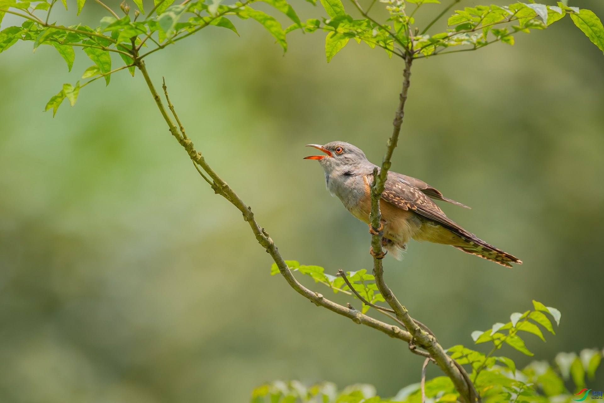 B86I2086 _����.jpg