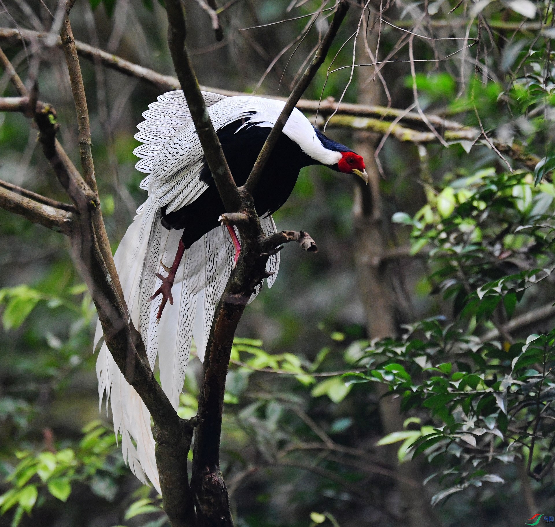 DSC_5330.jpg