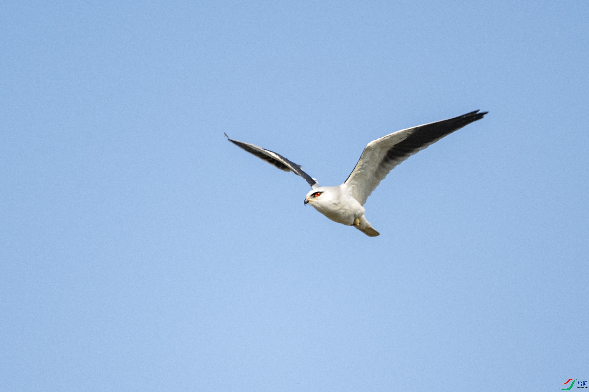 DSC_0352.jpg