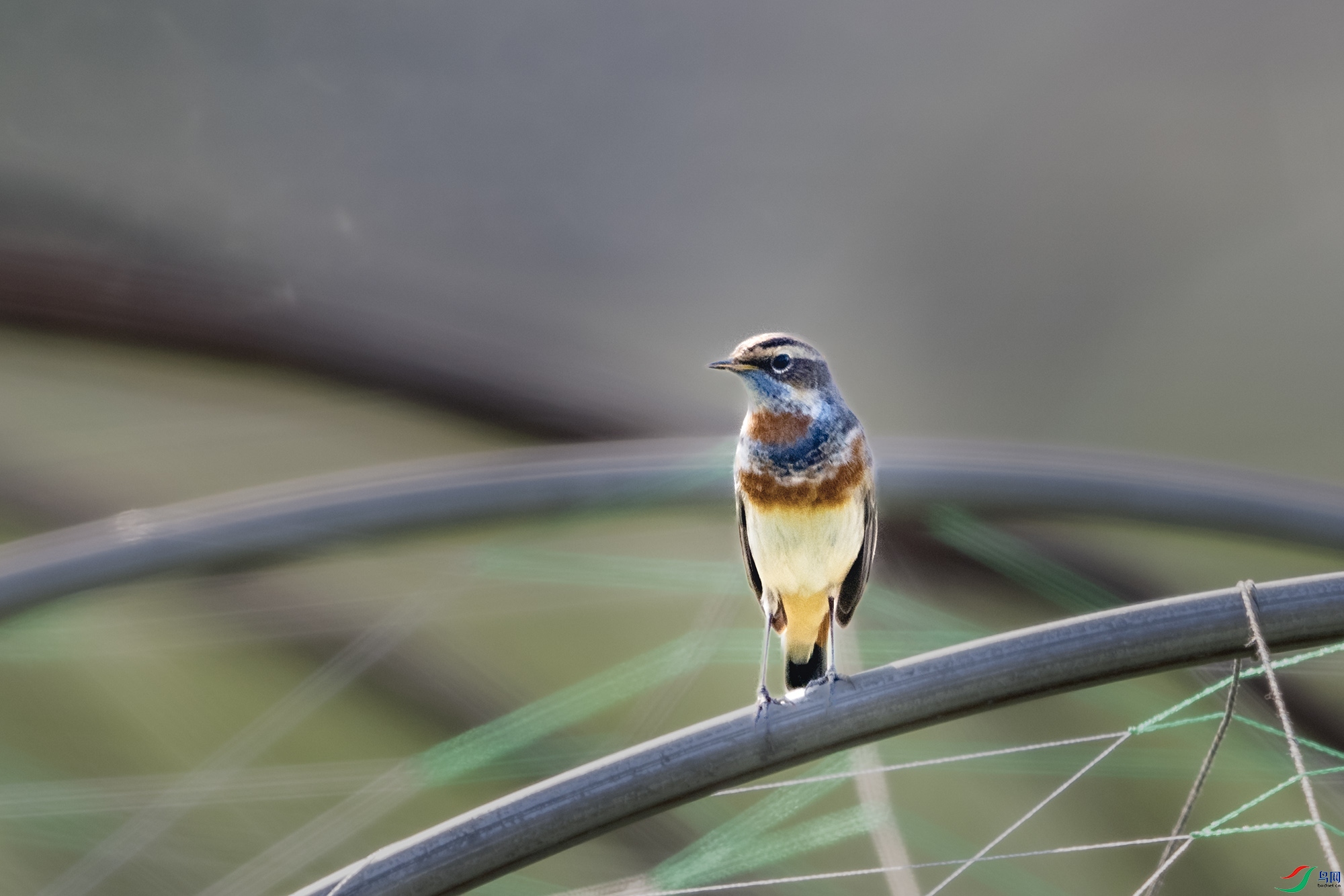 DSC_0244.jpg