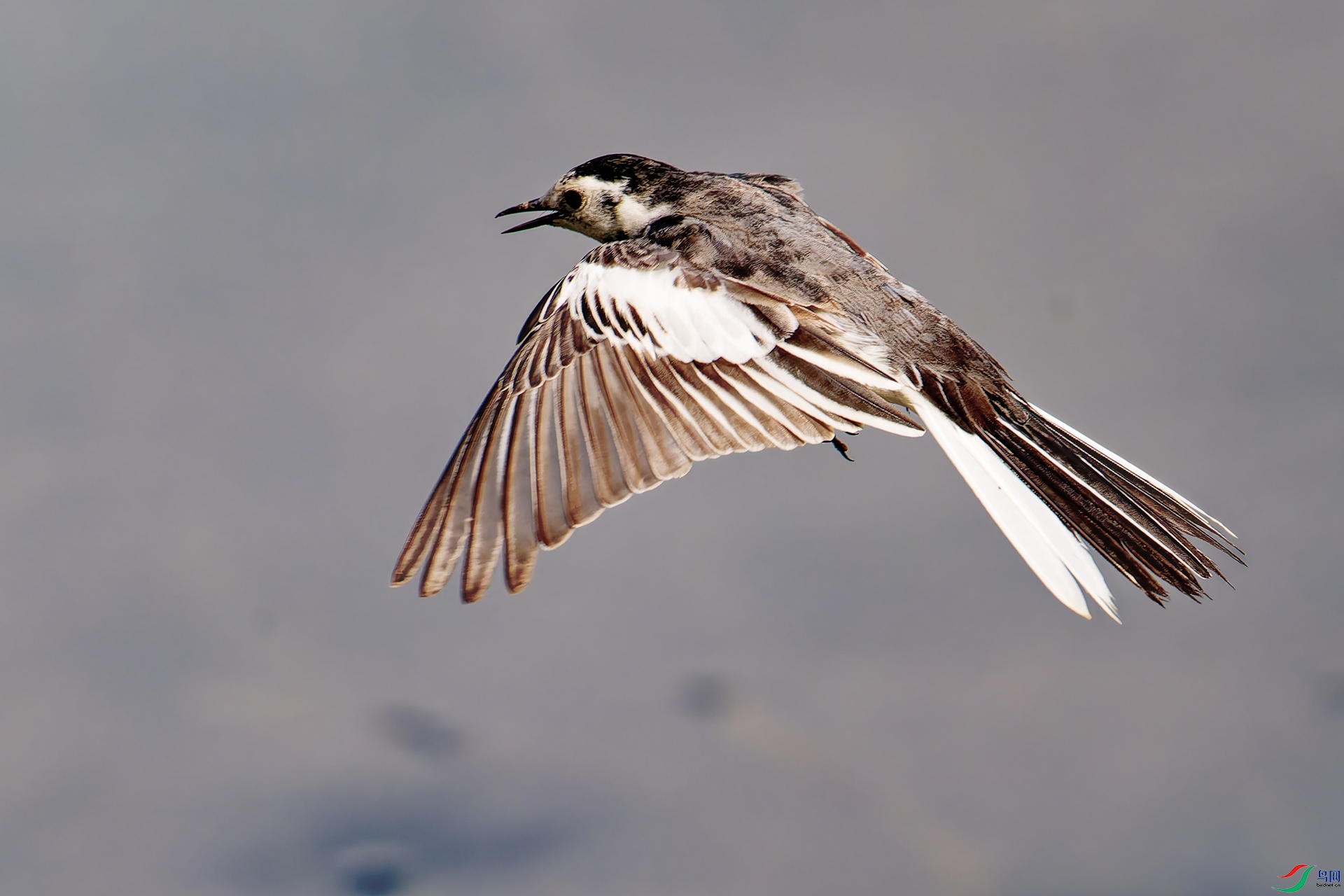 03