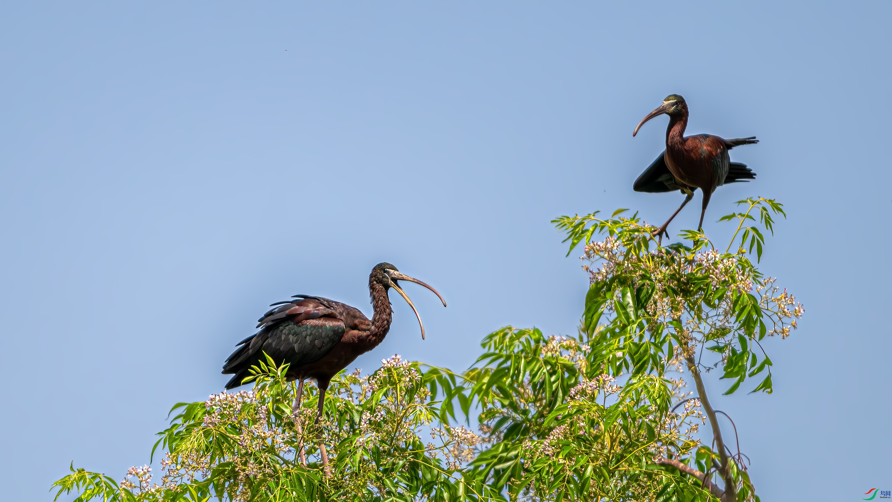 DSC_0652.jpg