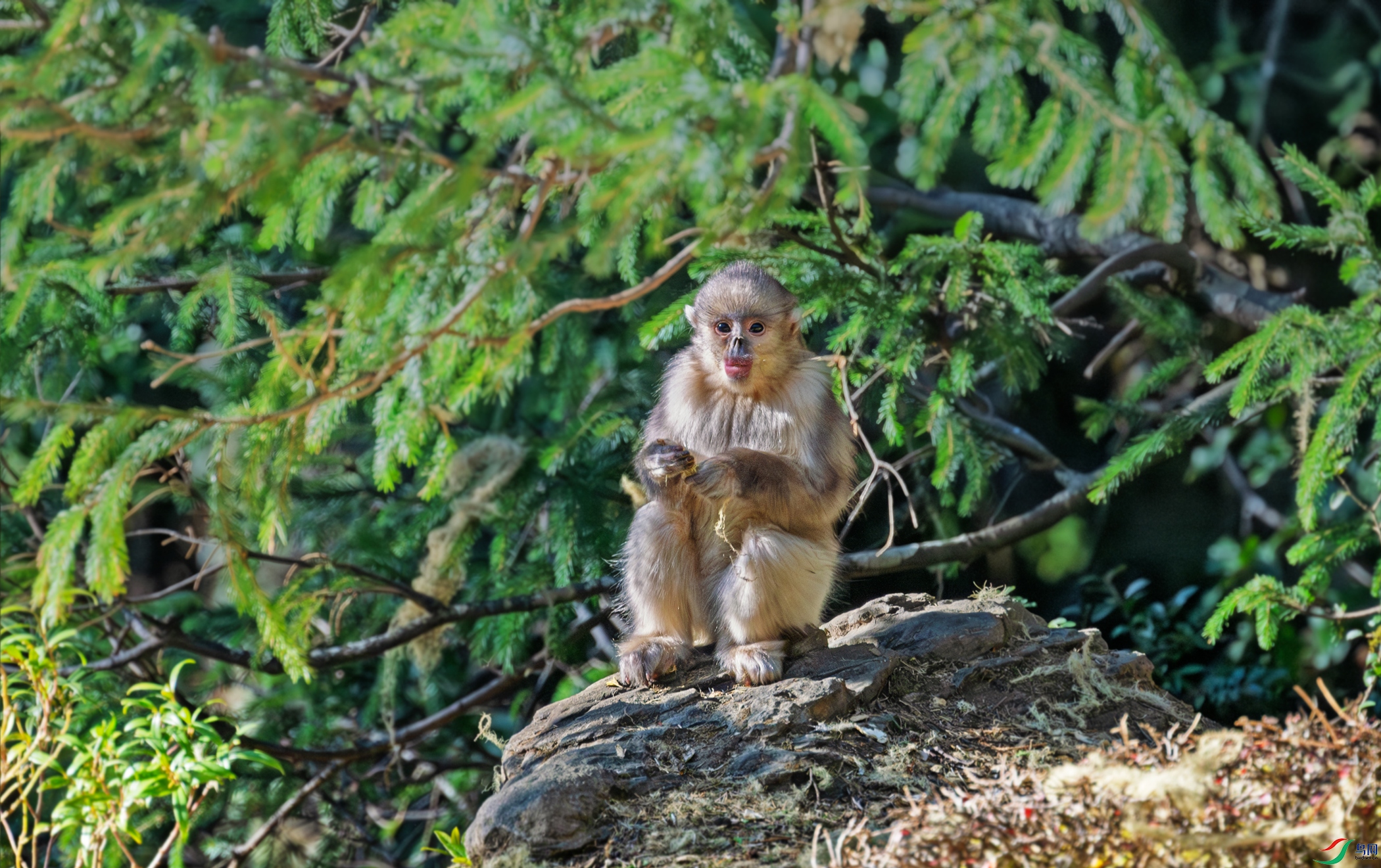 DSC_1954.jpg