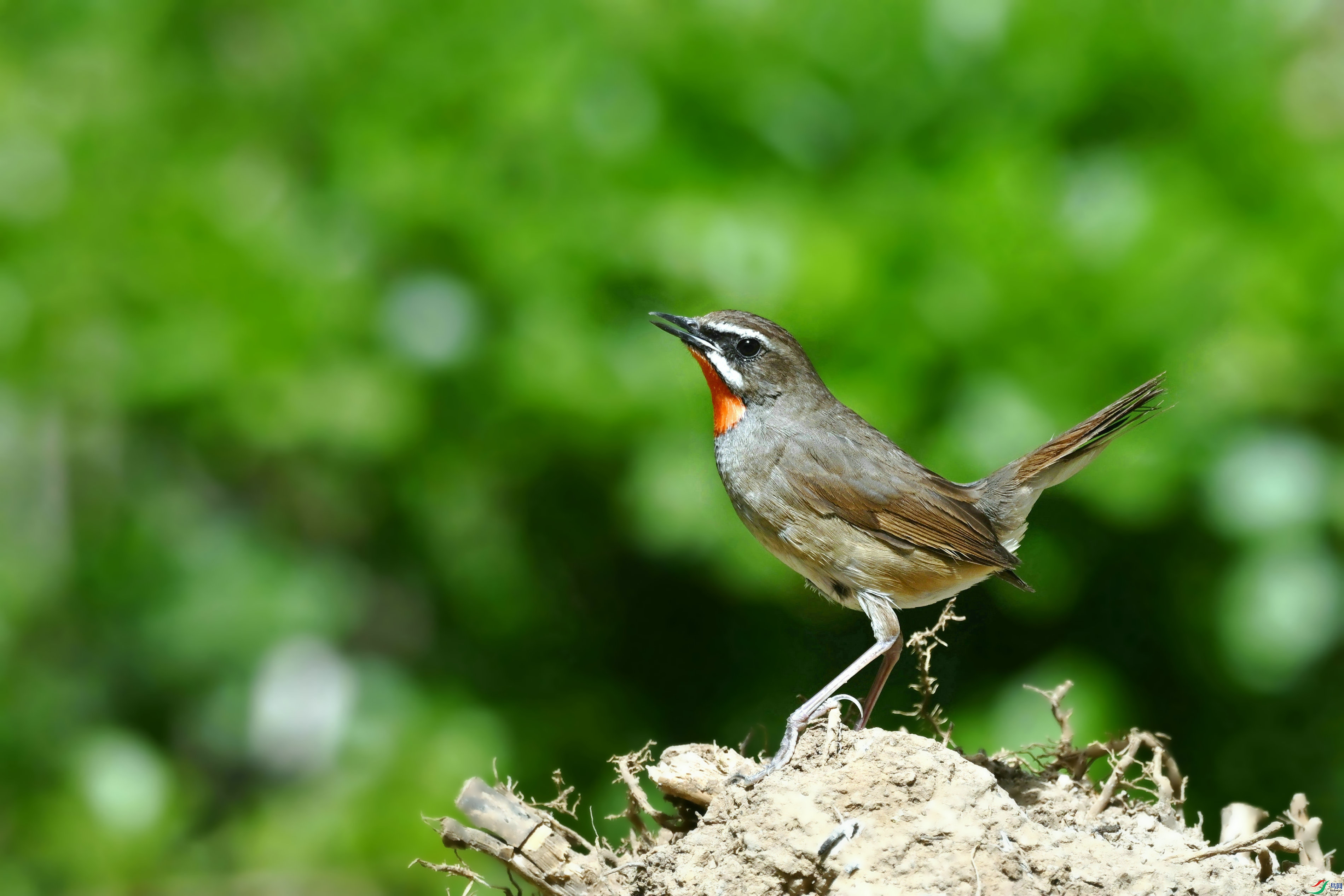 DSC_5273.JPG