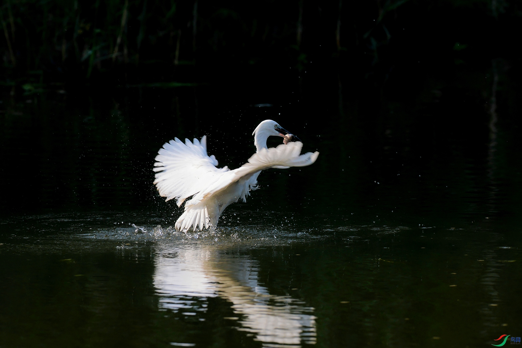 DSC_1490_DxOa.jpg